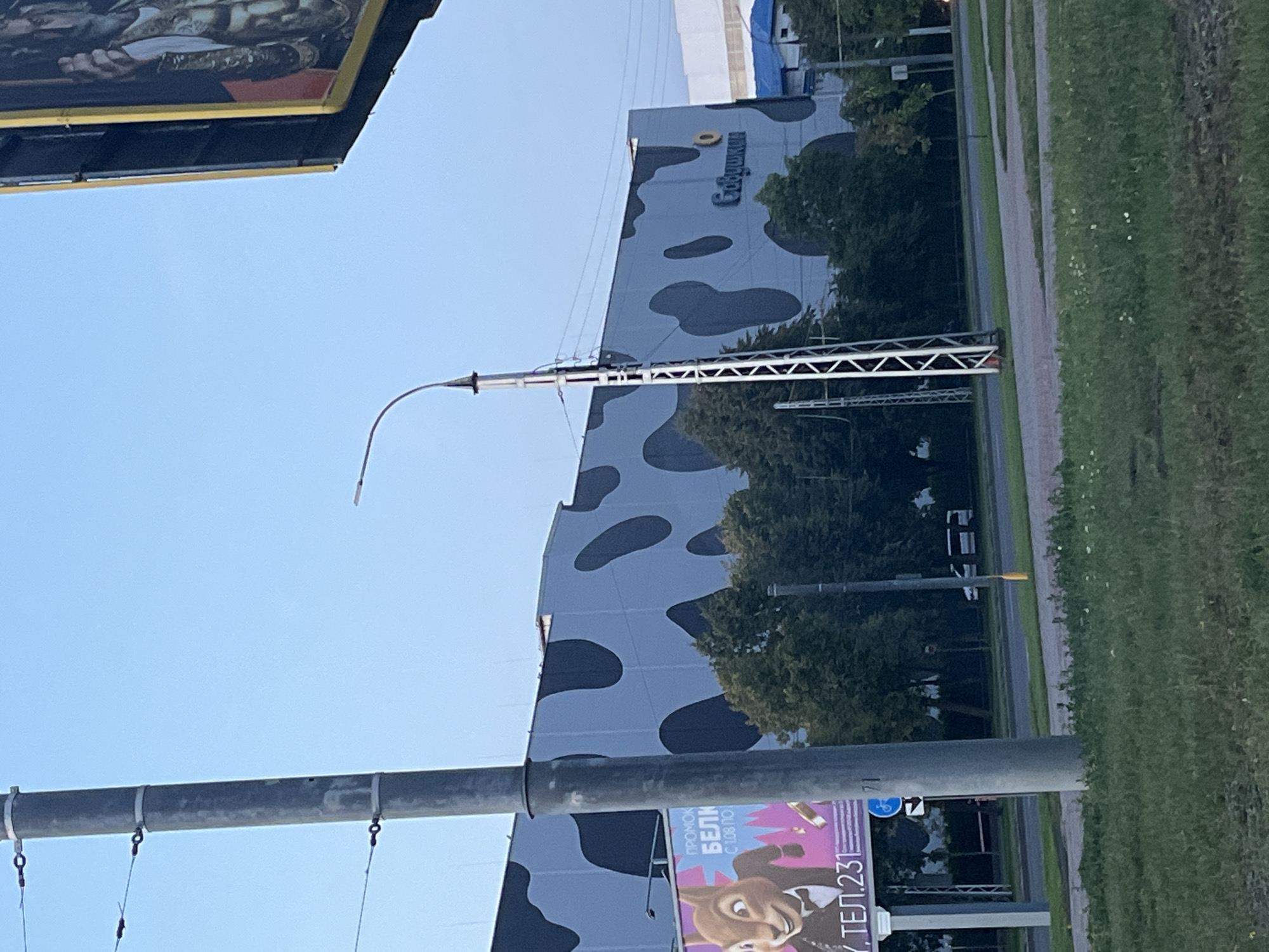 This image, captured in Brest, Belarus, shows a building with a distinctive cow-print pattern on its facade. The building is large and appears to be a commercial establishment, possibly a shopping center or supermarket, as indicated by the word "БРЮШКИН" (Bryushkin) written in large, light-blue Cyrillic letters on its side. A billboard featuring a cartoon squirrel wearing a tuxedo and a bow tie is visible to the left of the building, advertising a promotion with the text "ПРОМОК БЕЛК" (Promok Belk) and a phone number ending in "231". A gray utility pole stands prominently in the foreground on the left, with wires attached. In the background, several trees are visible, as well as a street with a car and a traffic light. The sky is clear and light blue. The overall scene depicts an urban environment on what appears to be a clear day.