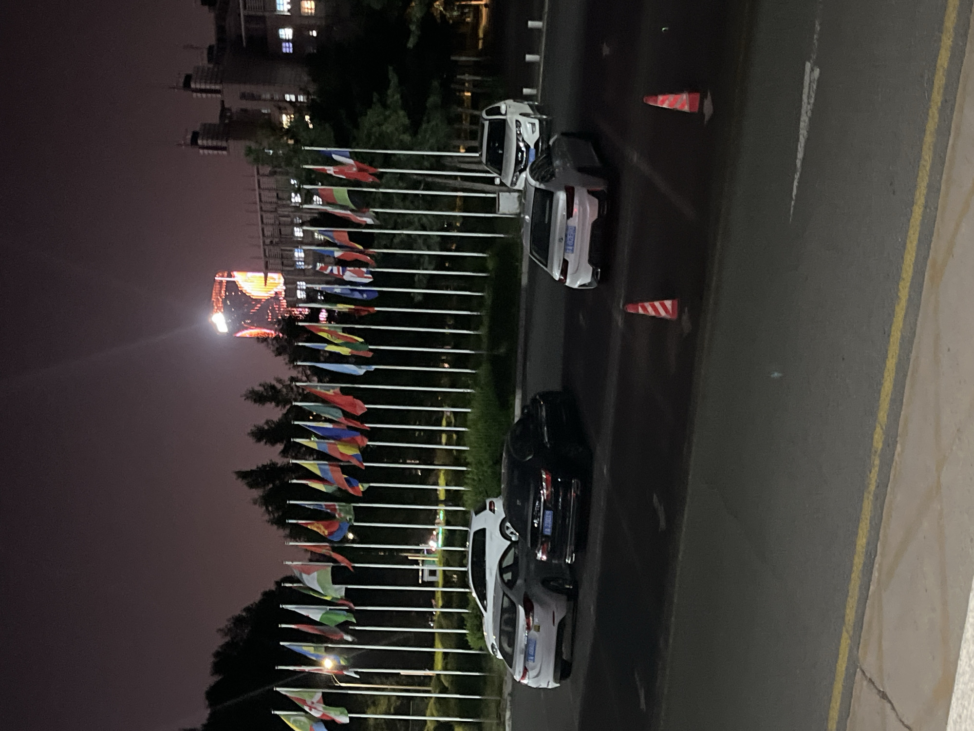 At night in Changchun City, China, a row of international flags lines a street near parked cars. A lit-up building is in the background. Two orange traffic cones are visible on the road. The flags are on poles, creating a linear formation along the roadside. Four vehicles are parked next to the flags. One vehicle is white, one black, and the other two are white.