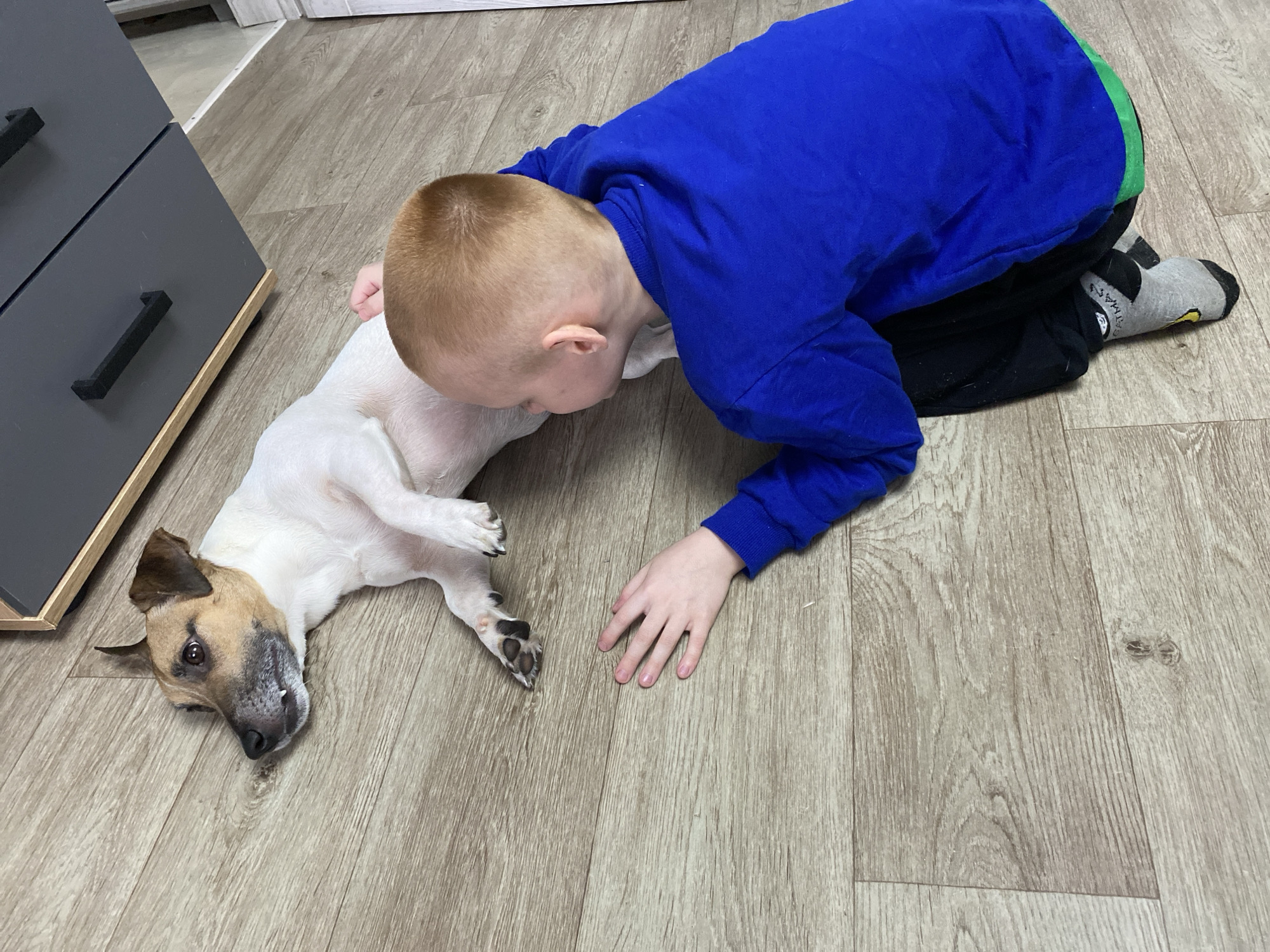 A young child in a blue long-sleeved shirt and black pants with a grey sock with a Batman design, is lying on the floor, with their head near a dog. The dog is lying on its side with its head facing left. There is a grey dresser to the left. The floor is wooden. The location is unknown.