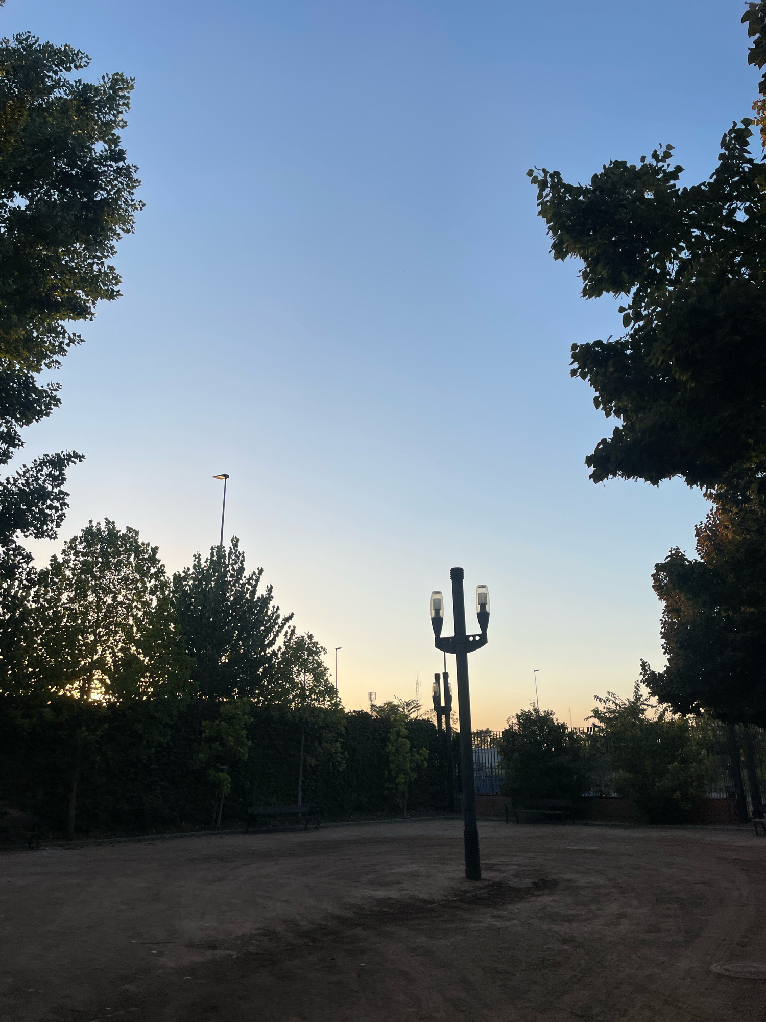 The image depicts an outdoor scene with a clear, pale blue sky transitioning to a softer gradient near the horizon, indicative of dawn or dusk. Silhouetted trees frame the top left and top right corners of the image, their dark foliage contrasting with the bright sky. In the mid-ground, a row of trees runs horizontally, with a dense, dark hedge beneath them. The ground in the foreground is a sandy or dirt-like surface, with some uneven patches. A black, multi-headed lamppost stands centrally in the mid-ground, its two upper light fixtures visible. Another, taller lamppost with a single light is visible further back to the left. Benches are partially visible behind the hedge. The overall atmosphere is serene and natural, suggesting a park or open public space. The specific location in the city of Granada, Spain, cannot be definitively determined from the visual information alone.