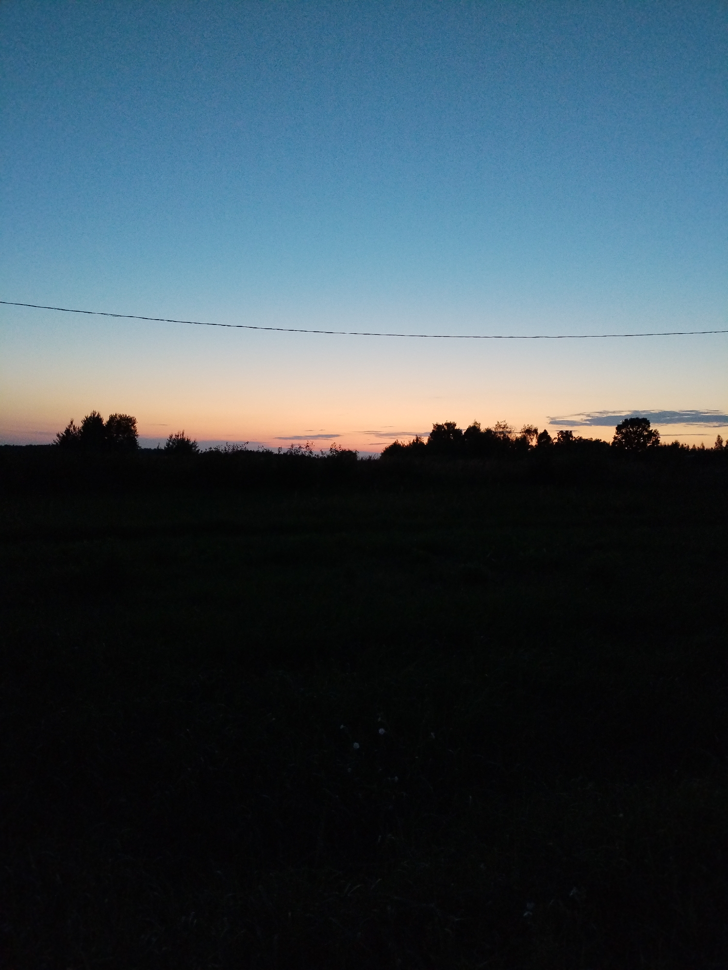 This is a nighttime photograph taken from a field in Bialynichy, Belarus. The sky is a gradient of deep blue at the top, transitioning to a pale orange and yellow near the horizon, indicating either dawn or dusk. A thin, dark wire runs horizontally across the sky. Silhouetted against the colorful sky is a dark tree line, with individual trees and bushes visible. The foreground is a field of dark grass, also silhouetted against the sky. The overall scene is dark and tranquil, characteristic of a rural landscape at the edge of day.