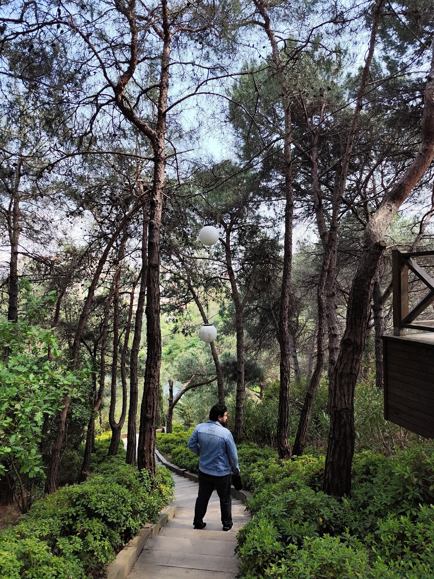 A man stands on stone steps leading through a wooded area in Sarıyer, Turkey. He is facing away from the viewer, wearing a denim jacket and dark pants. The steps are lined with dense green shrubs. Tall, slender trees with bare branches reach upwards, partially obscuring the sky. Two spherical light fixtures hang from the trees further up the path. A wooden structure is visible to the right, partially obscured by foliage.