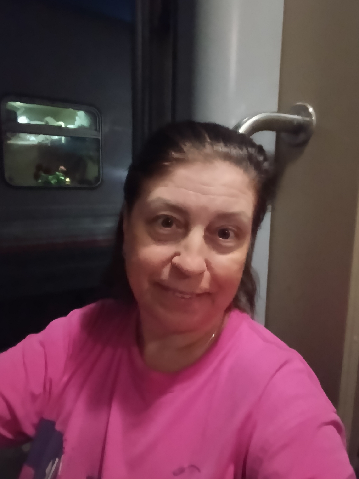 A woman with dark hair, wearing a pink shirt, smiles at the camera. She appears to be indoors, possibly in a train car, with a window visible behind her. A silver handrail is present to her right. The lighting is dim. The specific location in Rtishchevo, Russia is not discernible from the image.