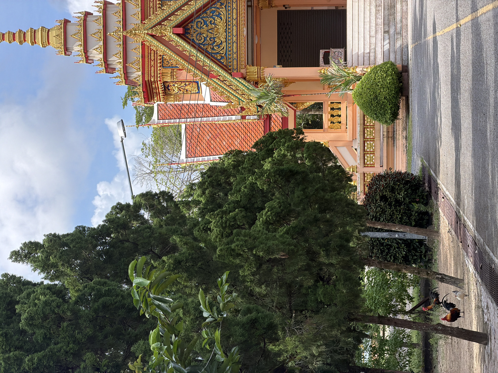 In Thep Krasatti, Thailand, a Buddhist temple stands with ornate gold and red architecture against a bright blue sky with scattered clouds. In the foreground, a paved path leads towards the temple, bordered by a brick walkway and lush green trees. Several chickens, including two roosters, peck at the ground near the trees. The temple features intricate carvings, tiered roofs, and a grand staircase leading to its entrance, which is covered by a dark roller shutter. The overall scene depicts a serene and traditional Thai setting.