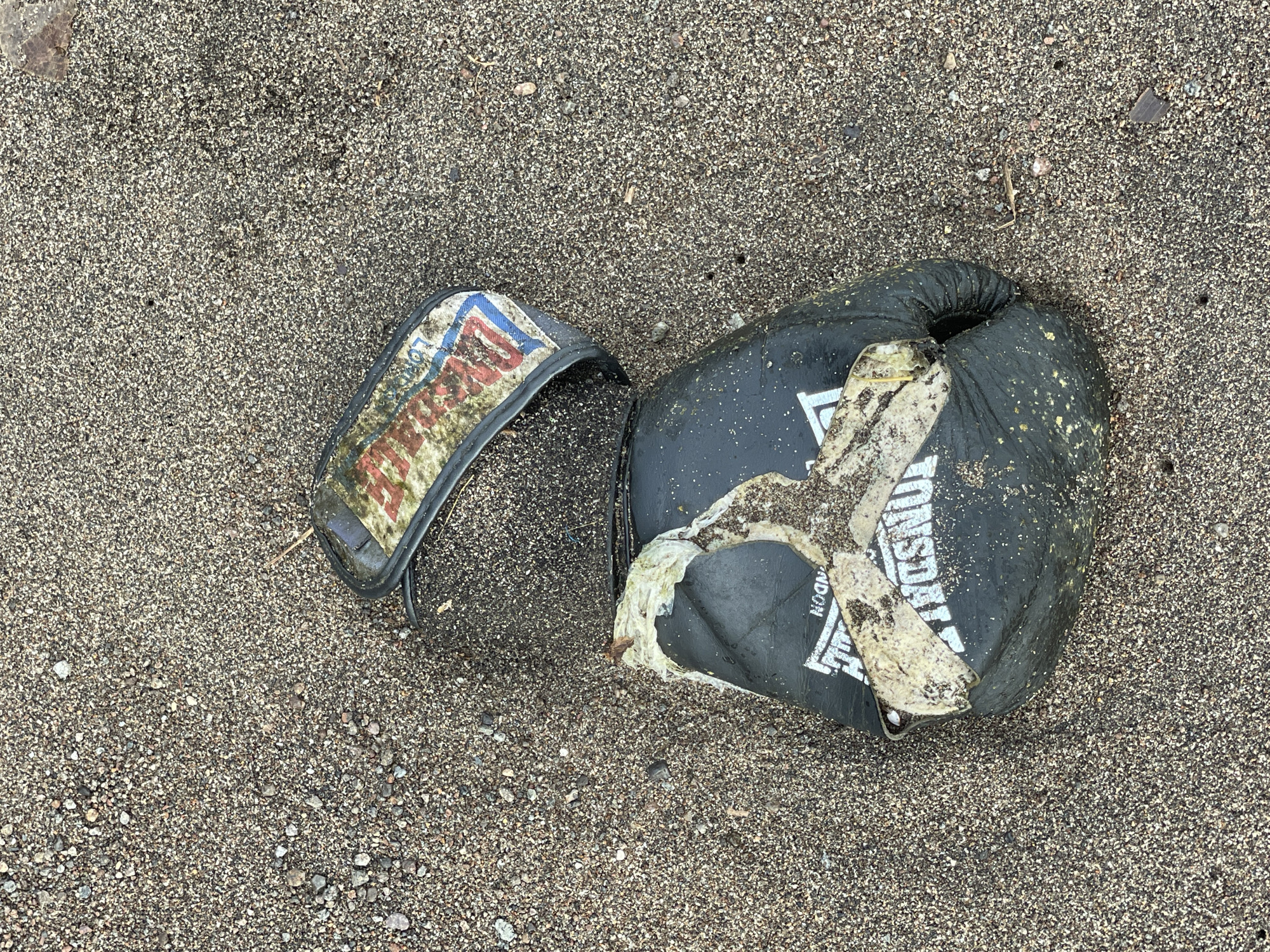 The image shows a damaged black boxing glove lying on a sandy beach. The glove is partially covered in sand and what appears to be seaweed or other organic debris. The brand name "Lonsdale" is visible on the glove. A separate strap from the glove, also dirty and worn, lies near the main body of the glove. The beach appears to be in Dauin, Philippines, given the context. The scene depicts a piece of discarded sports equipment on a natural beach environment. There are no people or animals visible in the image.