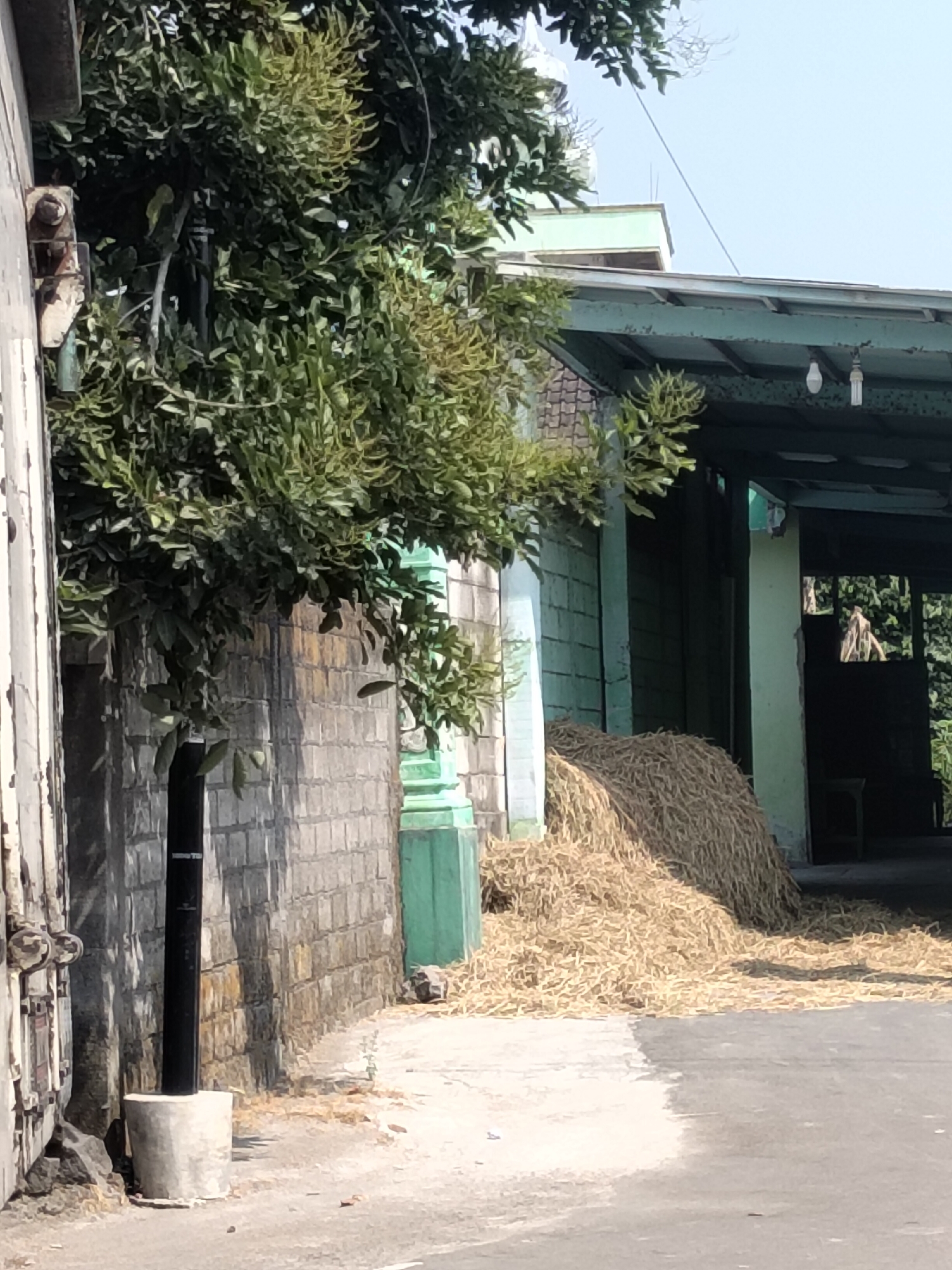A pile of dried straw is located next to a building with a green, overhanging roof. The straw is situated on a paved area, and a shadow of what appears to be a small table or chair is visible on the ground near it. In the background, the building features green posts and what looks like a window or open doorway. To the left of the straw, there is a brick wall, and an overhanging tree with green leaves provides shade. A black pipe stands vertically in front of the brick wall, supported by a concrete base. The image depicts an outdoor scene that is likely in a rural or semi-rural setting in Kalikotes, Indonesia, possibly a farm or storage area.