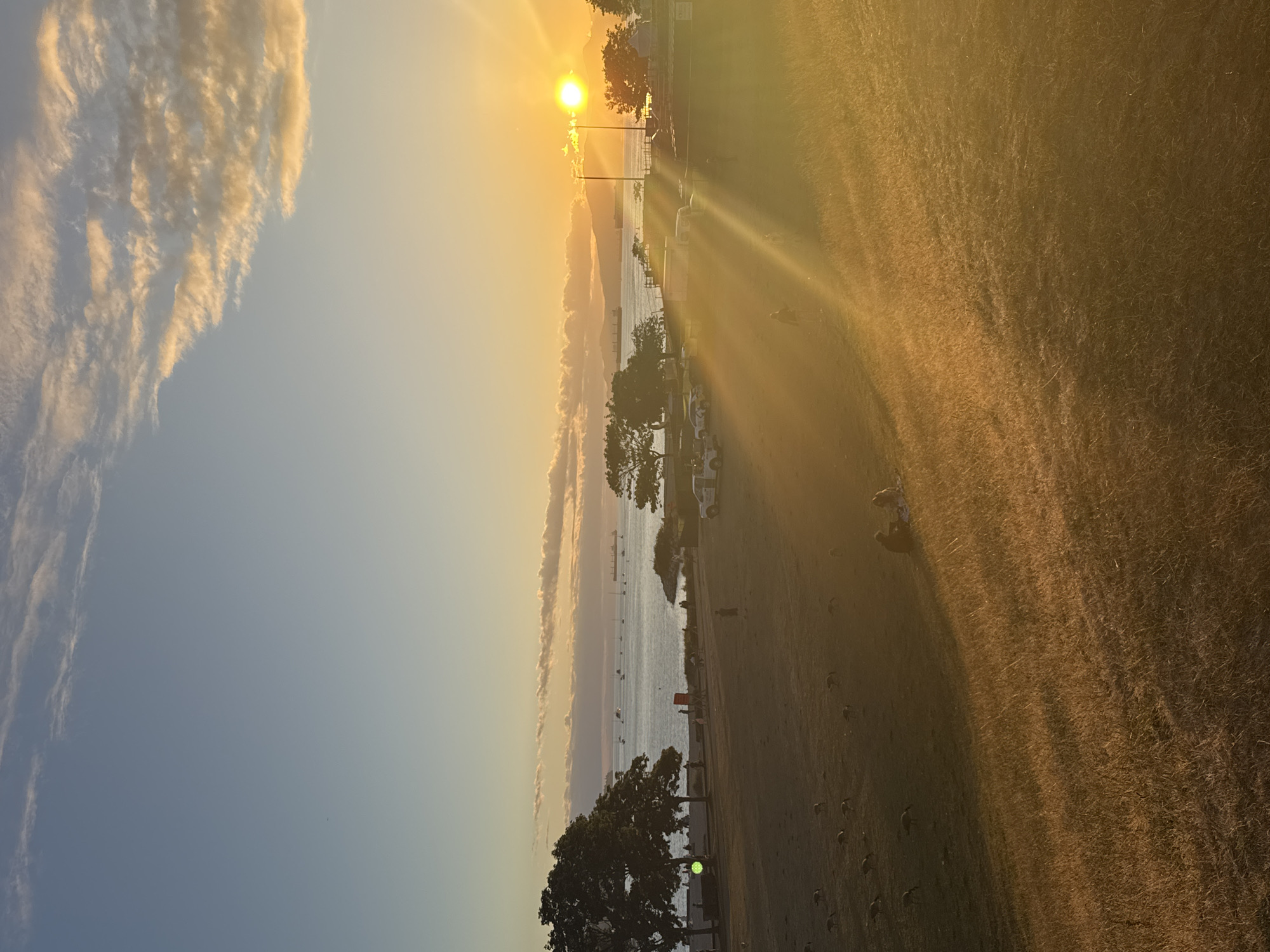 This image depicts a sunset scene at Spanish Banks Beach Park in Vancouver, Canada. The sun is setting over the water, casting a warm, golden light across the scene. In the foreground, a grassy hill slopes down towards a beach area. Several geese are scattered across the grass, pecking at the ground. Further down, two people are sitting on a blanket, seemingly enjoying the sunset.
Beyond the grassy area, a paved path runs along the waterfront, with several parked vehicles, including a white truck with a logo, and a few people walking. The water is calm, with several boats and large cargo ships visible in the distance. The skyline of Vancouver, including mountains, is visible across the water. The sky is a mix of blue and orange, with some wispy clouds illuminated by the setting sun. The overall atmosphere is peaceful and serene, capturing a quintessential West Coast sunset experience.