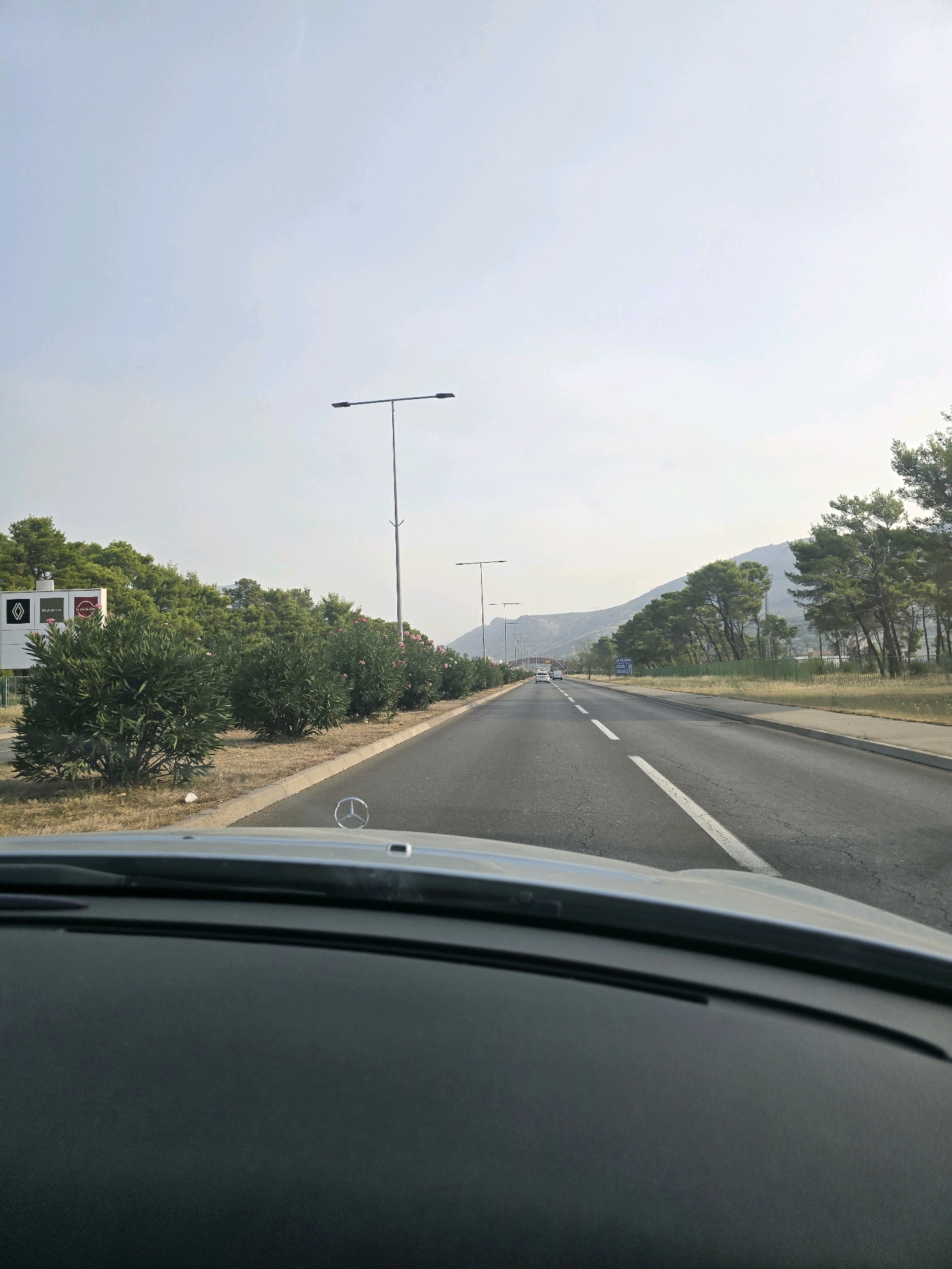The image shows a view from the interior of a car driving on a road in Podgorica, Montenegro. The road is a multi-lane highway with white lane markings. On the left side of the road, there are several lush green bushes with pink flowers, and beyond them, a row of trees. There are also some signs visible on the left, including what appears to be a Renault dealership sign and other advertising. On the right side of the road, there are more trees, primarily pine trees, and a mountainous landscape in the distance. The sky is a hazy, light blue. The dashboard of the car is visible in the foreground, with the Mercedes-Benz logo on the hood. There are other vehicles visible on the road ahead. The scene appears to be from daytime.