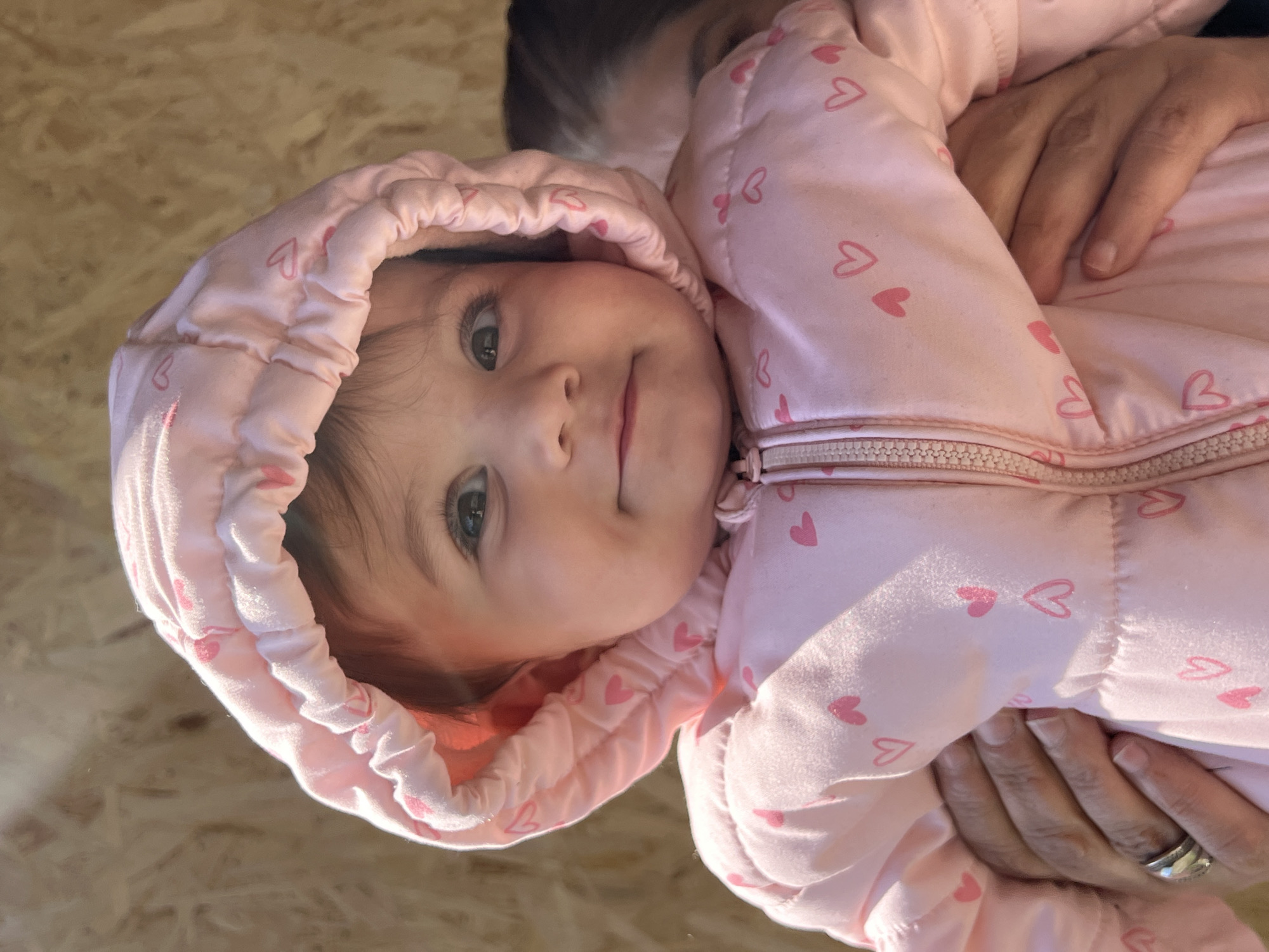 A young child, wearing a pink hooded jacket adorned with small pink hearts, is being held by an adult. The adult's hands and a small portion of their head are visible. The background appears to be a wooden surface. The image provides no information about the location in Elena, Bulgaria.