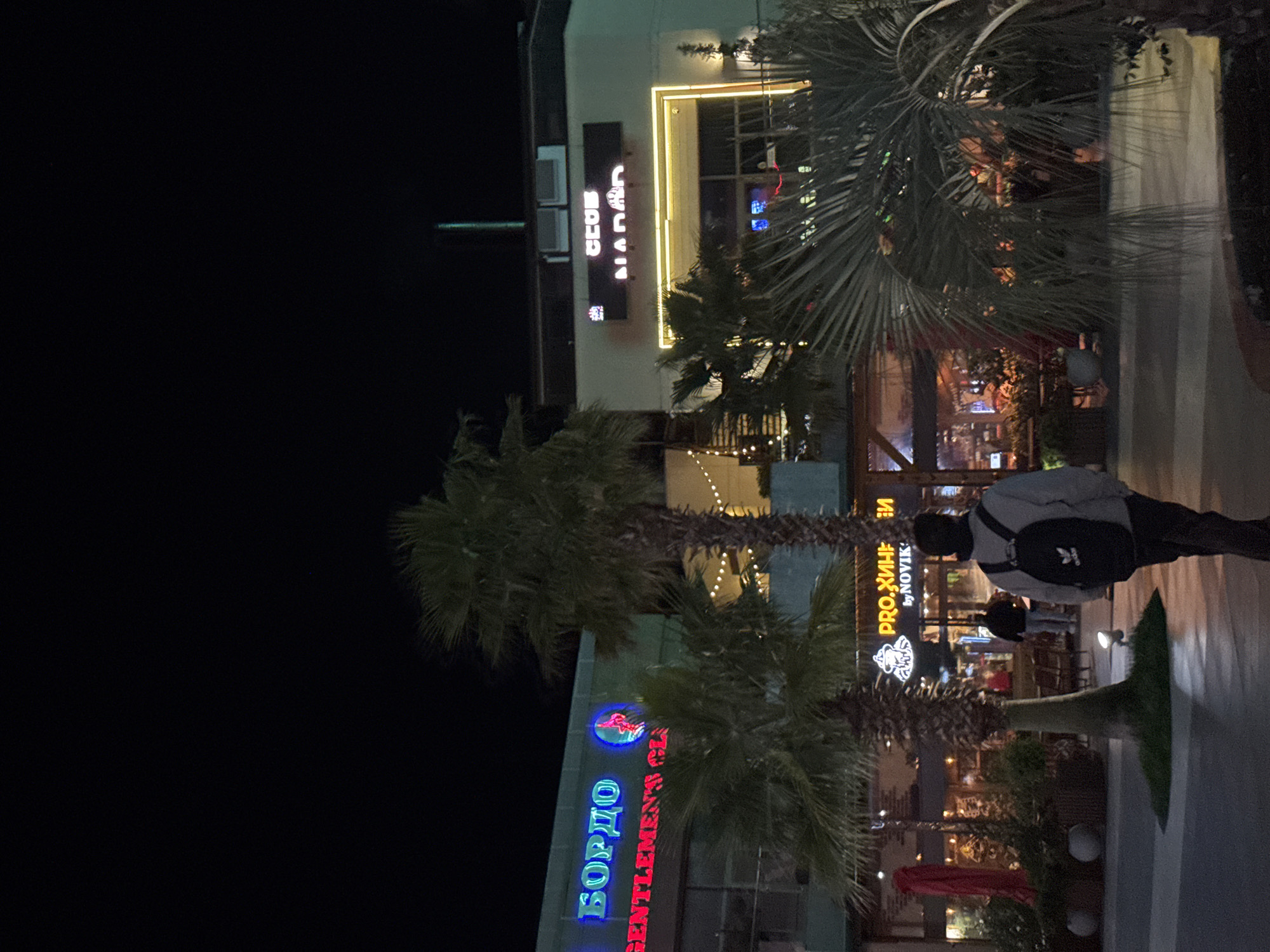 At night in Sochi, Russia, a pedestrian with a backpack walks along a sidewalk in front of several businesses. The signs read "БОРДО GENTLEMEN'S CLUB," "PRO-ХИНЬИ," and "CLUB DIALOG." Palm trees are planted along the sidewalk.