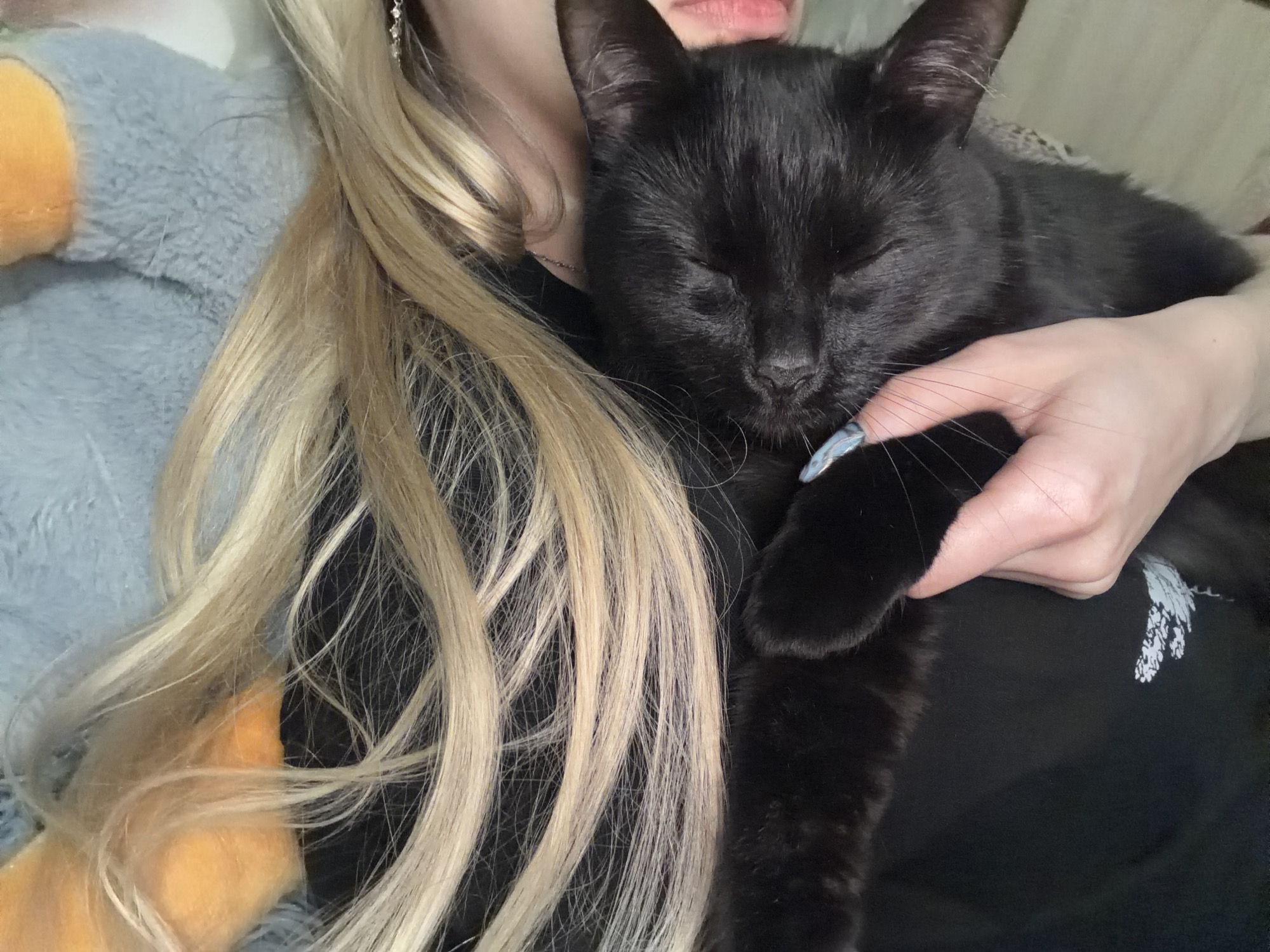 A medium close-up shows a person holding a black cat in their arms. The person has fair skin, long blonde hair that falls over their shoulder, and visible manicured fingernails. The cat is mostly black with its eyes closed, appearing relaxed or asleep. The person is wearing a black top. A grey and orange plush toy is partially visible to the left of the person. The background is unclear, but appears to be inside a room. The location and city are unknown.