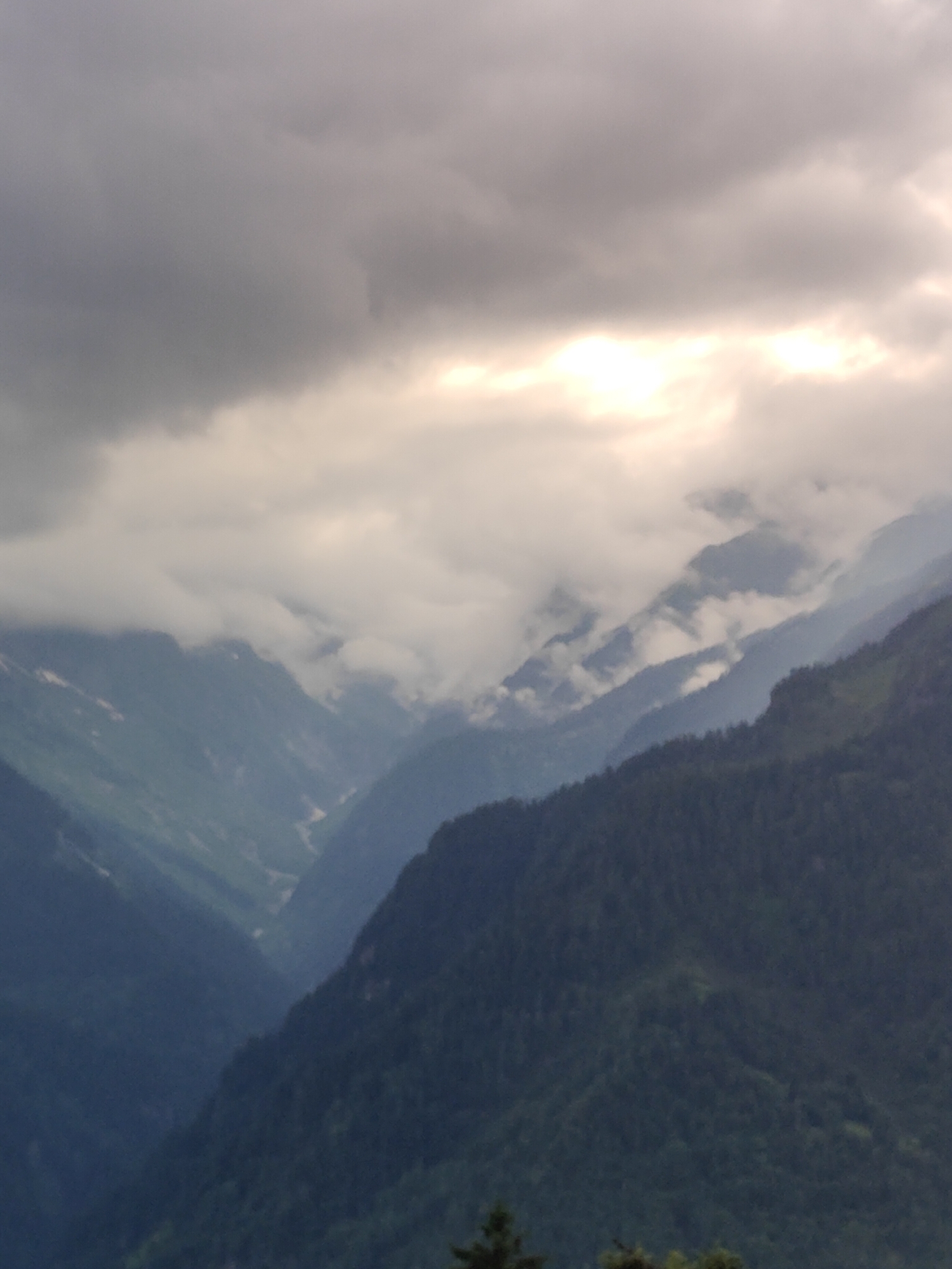The image is a vertical, eye-level shot of a valley in the Himalayas, likely near Vashisht, India. The sky is overcast with heavy, dark gray clouds, though a bright patch of sunlight breaks through in the upper center of the frame. Mist and clouds hang low, obscuring the upper portions of the mountains, lending a dramatic and moody atmosphere to the scene.
The valley floor is not clearly visible, but a winding river or stream can be discerned in the distance, cutting through the base of the valley. The slopes of the mountains are steep and covered in dense evergreen forests, primarily composed of dark green trees. The texture of the foliage is varied, with some areas appearing smoother and others more rugged.
In the foreground, the dark, densely forested slopes of a mountain dominate the lower right portion of the image. A few scattered trees and patches of lighter green vegetation are visible amongst the dark forest. The overall color palette is dominated by shades of gray, blue, and deep green, with the bright sunlight providing a stark contrast. There are no people or man-made structures visible in the image. The environment appears natural and rugged.