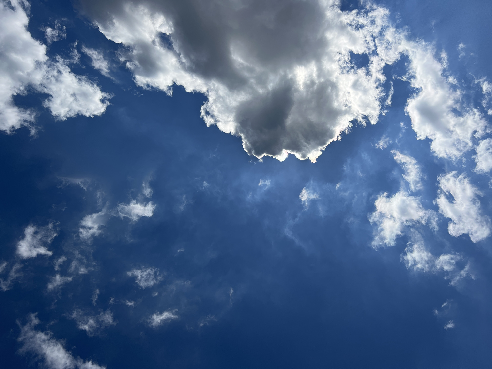 The image is a vertical, low-angle shot of a deep blue sky with scattered white and gray clouds. A large, prominent cloud formation occupies the right side of the frame, with its edge sharply illuminated by the sun, creating a bright halo. This cloud is partially silhouetted against the blue sky, with darker gray tones suggesting depth and shadow. Smaller, wispy clouds are dispersed throughout the rest of the sky, some appearing thin and feathery, while others are more defined and puffy. The overall impression is of a bright, sunny day with dynamic cloud activity. The image does not contain any discernible features of the city of Ternopil, Ukraine, nor does it depict any people, subjects, objects, or actions. It is solely a depiction of the sky.