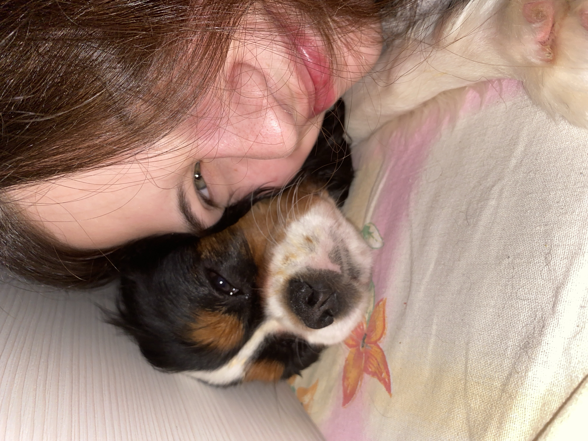 A young woman with brown hair lies next to a Cavalier King Charles Spaniel puppy on a bed or cushioned surface. The woman's face, including her eye, cheek, and lips, is visible. The puppy's face is also clearly visible. The background consists of a floral-patterned fabric. There is no evidence to suggest that the photograph was taken in Votkinsk, Russia.