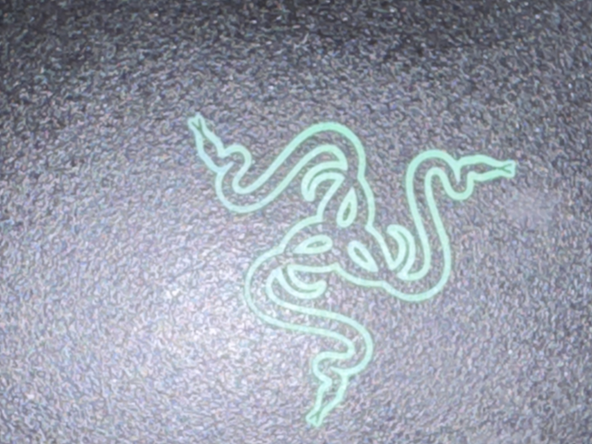 The image shows the Razer logo in light green on a dark grey textured background. There is no indication of this being in Sofia, Bulgaria, or evidence of people, objects, or actions.