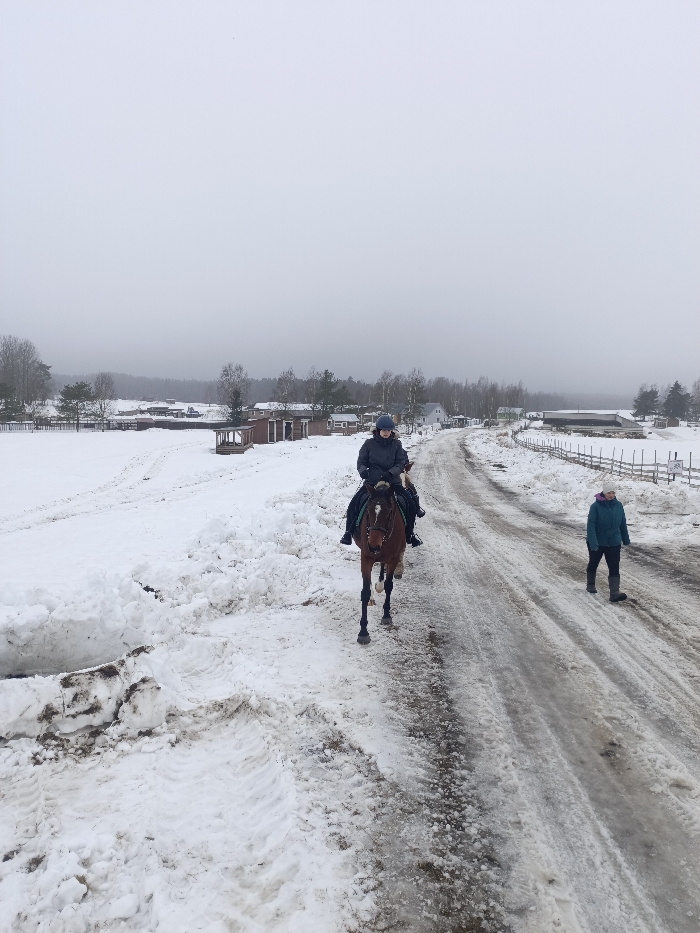 A winter landscape in Gorka, Russia, depicts a snow-covered environment under an overcast sky. Three individuals are present on a partially cleared, slushy road. One rider, wearing a dark jacket and helmet, is mounted on a brown horse with leg wraps and a green bridle. A second rider on a lighter-colored horse is partially visible behind the first. A third individual, dressed in a teal jacket and light hat, walks on the right side of the road, positioned slightly behind the horses. Deep snowbanks, marked with tire and hoof prints, line the road. In the middle ground, rural structures, including various wooden buildings and post-and-rail fences, are visible amidst bare deciduous and sparse evergreen trees. The terrain beyond the road is entirely snow-covered.