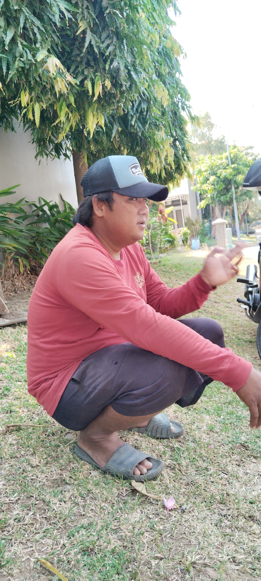 A medium shot captures a man wearing a red long-sleeved shirt, dark shorts, a black and grey trucker hat, and grey sandals. He is crouching on a grassy area with dry patches of grass. Behind him, a tree with long, narrow green leaves is visible, some of which have turned yellow. In the background, there are buildings, trees, and a clear sky, suggesting an outdoor daytime scene. The man is looking to his right and appears to be gesturing with his right hand, possibly engaged in a conversation. A portion of a motorcycle is visible to the right of the frame. The overall impression is a casual outdoor setting, possibly in a residential area of Semarang, Indonesia, given the style of the vegetation and buildings.