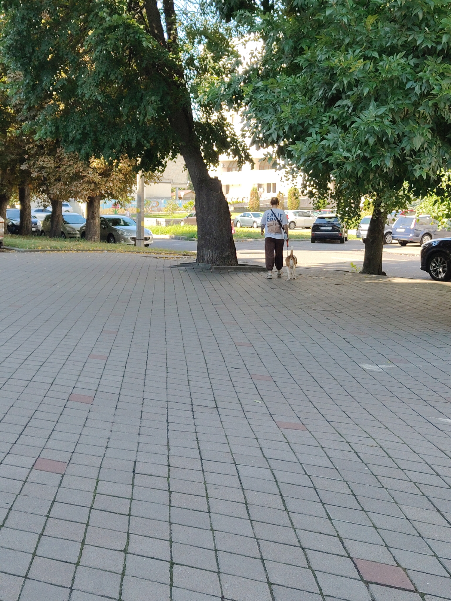 A woman walks a dog on a paved walkway in Cherkasy, Ukraine. The woman, facing away from the camera, wears a white t-shirt with text and brown pants. The dog, a small to medium-sized breed with brown and white markings, is on a leash. Trees line the walkway, with cars parked in the background. The pavement is made of grey and red square tiles.