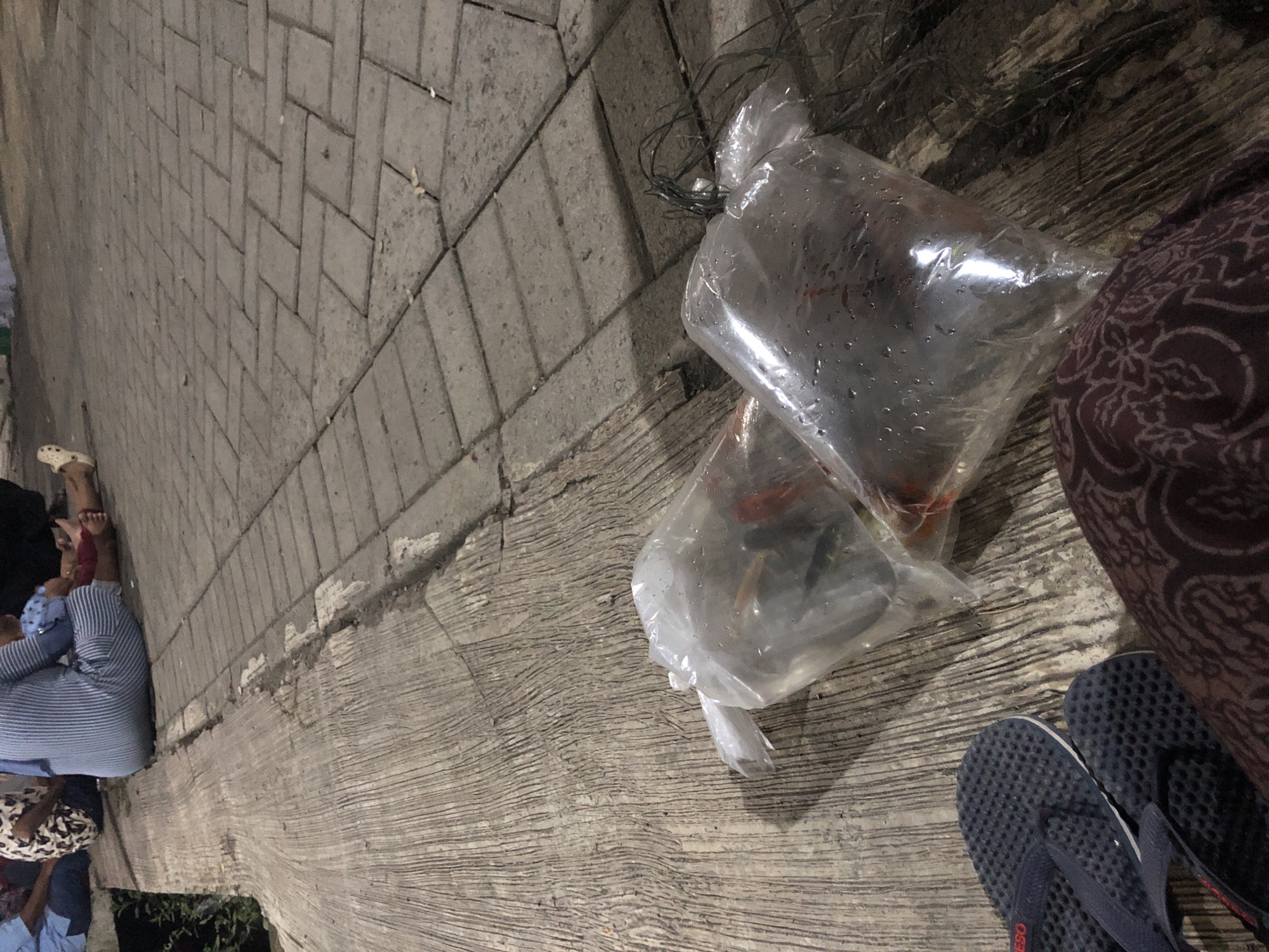 In Tenggilis Rejo, Indonesia, two plastic bags containing fish are placed on a concrete ground, partially obscuring a pair of dark blue flip-flops. The bags are filled with water, and condensation is visible on the exterior of the bag on the right. A person's legs, wearing a patterned cloth, are visible in the lower right corner of the image. In the background, other individuals are seated on the ground, some wearing traditional clothing. The ground itself is a textured concrete surface adjacent to a tiled pathway, indicating an outdoor urban setting.