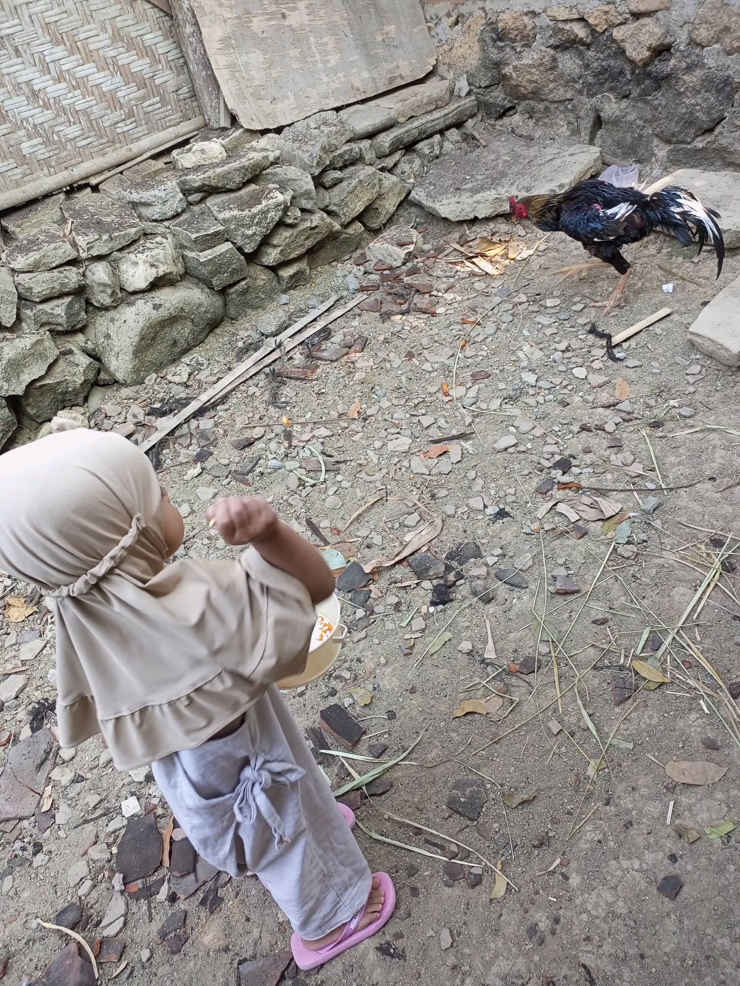 In Nanggulan, Indonesia, a young child, wearing a beige hijab and matching ruffled tunic over light grey pants with a tied bow detail at the waist and pink flip-flops, stands facing away from the camera. The child is holding a white bowl and appears to be reaching out with their right hand. A black and dark blue rooster with white tail feathers is on the ground to the right, pecking at the dirt. The ground is a mix of dirt, gravel, and scattered debris, including small rocks, dried leaves, and pieces of what appears to be broken pottery or brick. In the background, a wall constructed of rough-hewn stones is visible, with a portion of a woven bamboo structure and a weathered wooden plank above it. The overall environment suggests an outdoor, possibly rural or semi-urban setting with a natural, unkempt ground cover.