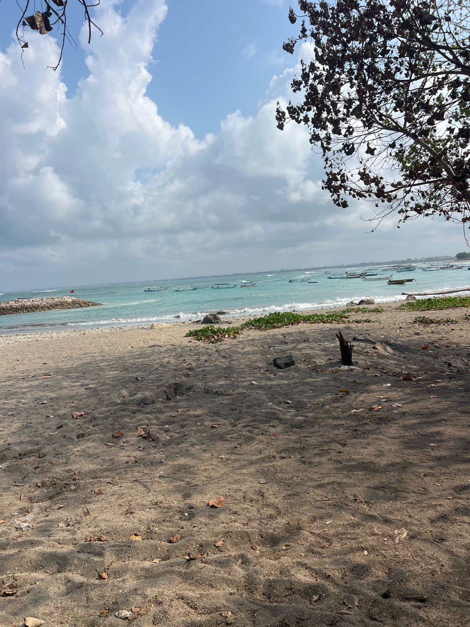 A wide-angle, vertical shot captures a tranquil beach scene in Kuta, Indonesia. The foreground is dominated by a sandy beach, sparsely littered with dried leaves and some debris, with a dark, rough-hewn wooden post standing upright in the middle ground. The sand is textured with gentle ripples, suggesting the ebb and flow of the tide. Beyond the beach, the turquoise waters of the ocean stretch towards the horizon, dotted with numerous traditional Balinese fishing boats, some anchored and others gently bobbing on the waves. A stone breakwater extends into the water on the left side of the image, marked by a small red flag. The sky above is a mix of bright blue patches and soft, scattered white clouds, with the dark, leafless branches of a tree framing the upper right corner, casting dappled shadows across the scene. The overall impression is one of peaceful, natural beauty, characteristic of a tropical coastline.