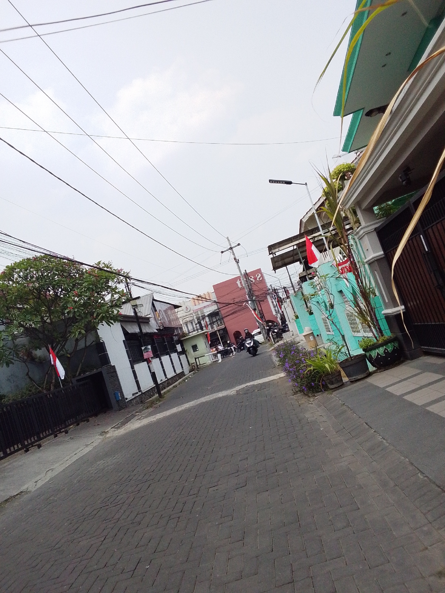 The image captures a street scene in Malang, Indonesia, characterized by its tiled pavement and buildings with a tropical architectural influence. The perspective is tilted, giving a dynamic feel to the scene. Several Indonesian flags are visible, suggesting a national celebration or patriotic observance.
On the left side of the street, a tree with lush green foliage and some red flowers stands near a white building with a black fence. The building appears to be a residence or a small business. The Indonesian flag is displayed on a pole in front of this building.
Further down the street, more buildings line both sides. On the right, a building with light blue walls and decorative white trim stands out. It features potted plants in front of it, including some with purple flowers. The architecture of this building, with its overhang and railings, is common in warmer climates. Adjacent to this building is a dark brown wooden gate.
The street itself is paved with dark gray rectangular tiles laid in a herringbone pattern. There are several motorcycles on the street, some parked and some in motion. A few people are visible, including individuals riding motorcycles and pedestrians. The overall atmosphere is that of a bustling urban street on a cloudy day. The presence of overhead electrical wires crisscrossing the sky is a typical feature of many Indonesian cities.