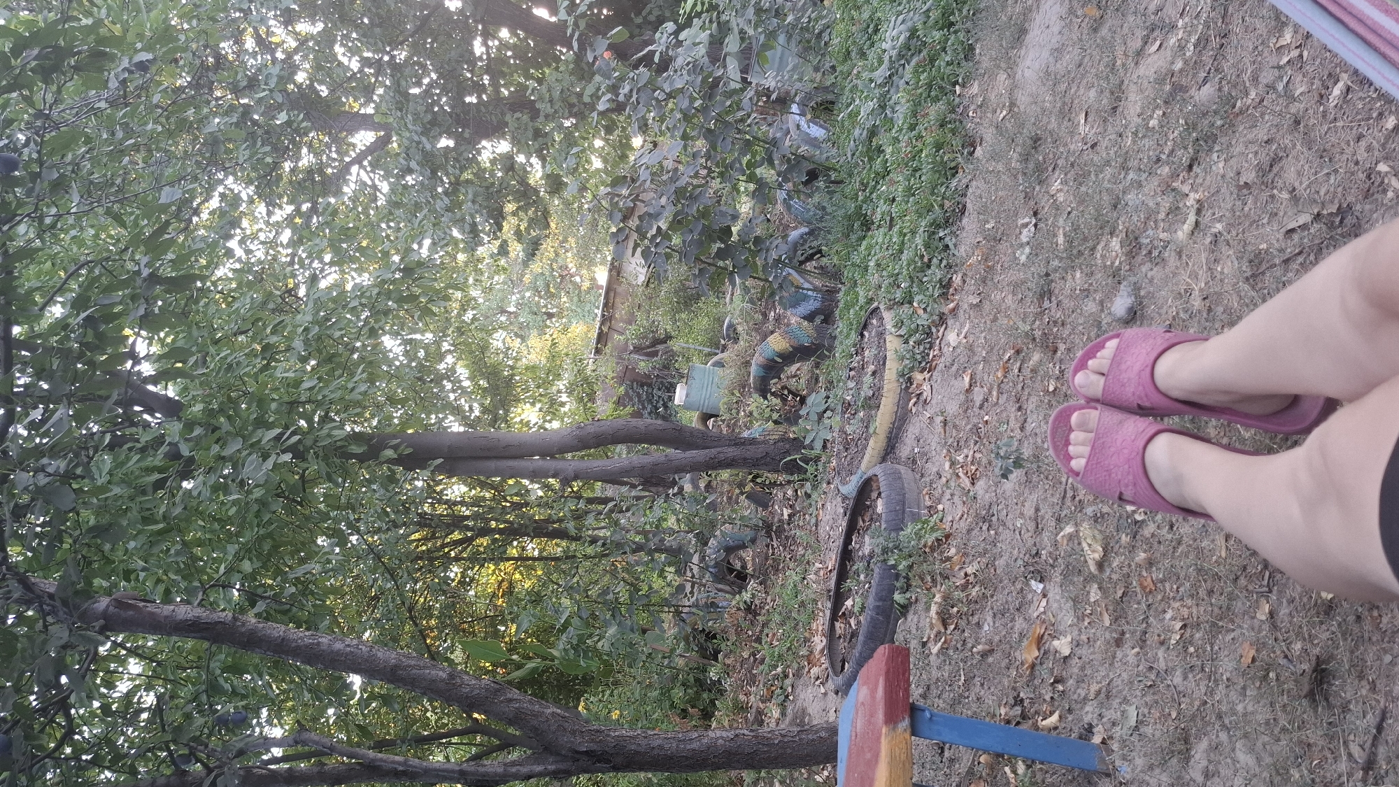 An outdoor scene is depicted in Шұбарсу, Kazakhstan, with a first-person perspective of a person wearing pink flip-flops, relaxing on the ground. The ground is covered in dirt and fallen leaves. To the left, a portion of a colorful bench with a red, yellow, and blue seat and blue legs is visible. In the mid-ground, several old tires are arranged, some filled with soil and plants, and others forming part of a decorative element. The background features lush green trees with dappled sunlight filtering through their leaves, creating a natural, somewhat overgrown environment. There are also some scattered structures and additional greenery in the distance. The overall impression is a casual, outdoor setting, likely a backyard or a garden area.