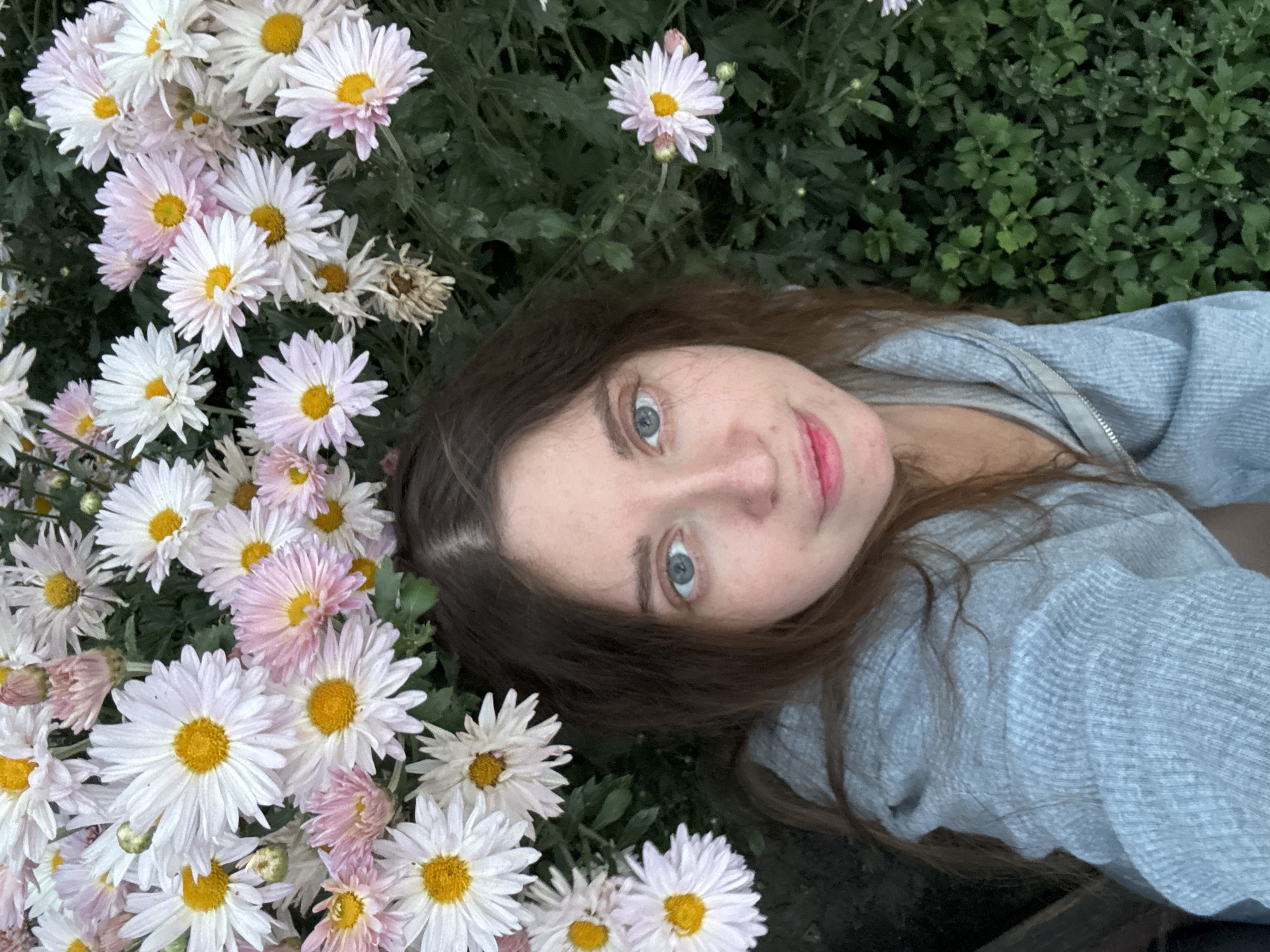 A young woman with long brown hair and blue eyes takes a selfie in a garden. She is wearing a grey hooded sweatshirt. Behind her, a dense arrangement of white and pale pink chrysanthemums with yellow centers fills the frame. The background is predominantly green foliage. The image appears to be taken outdoors in a garden setting, possibly in the city of Sol-Iletsk, Russia.
