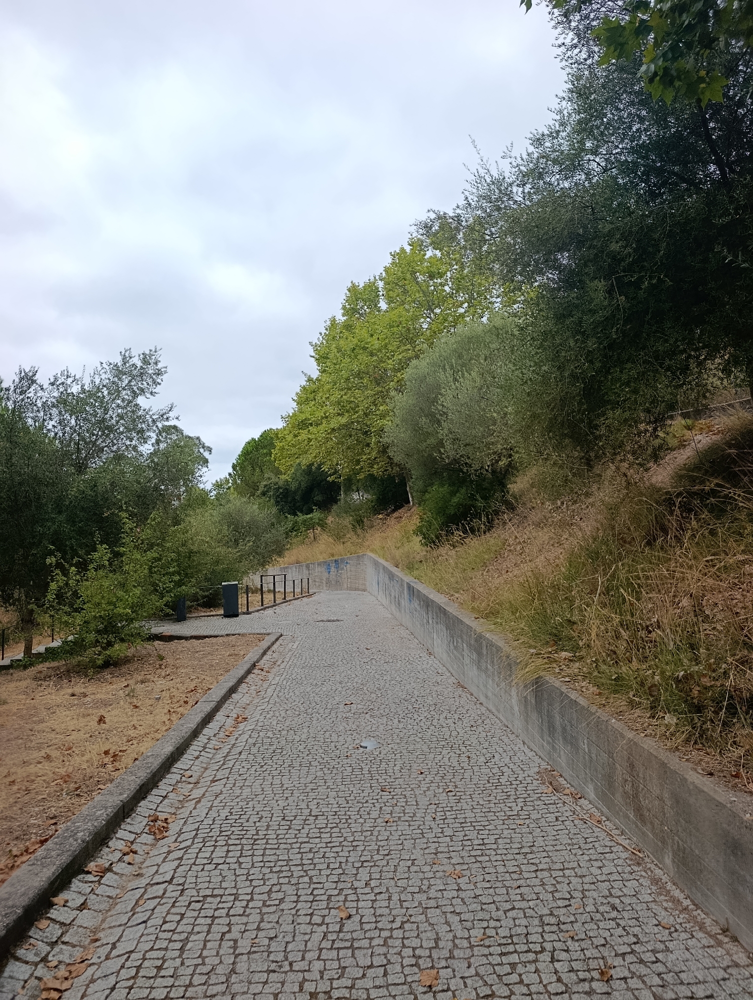 The image depicts a paved walkway made of cobblestones that curves upwards and to the right. The walkway is bordered on the left by a dry, grassy area with scattered brown leaves and on the right by a concrete retaining wall. Beyond the wall, the terrain slopes upwards, covered in dry grass and vegetation. Lush green trees with dense foliage line the upper slopes. In the background, the sky is overcast with diffused light. A black trash receptacle and a metal railing are visible on the left side of the walkway. The scene appears to be a park or public garden, possibly within the city of Setúbal, Portugal, given the style of the paving and the types of vegetation commonly found in the region. There are no people or animals visible in the image.