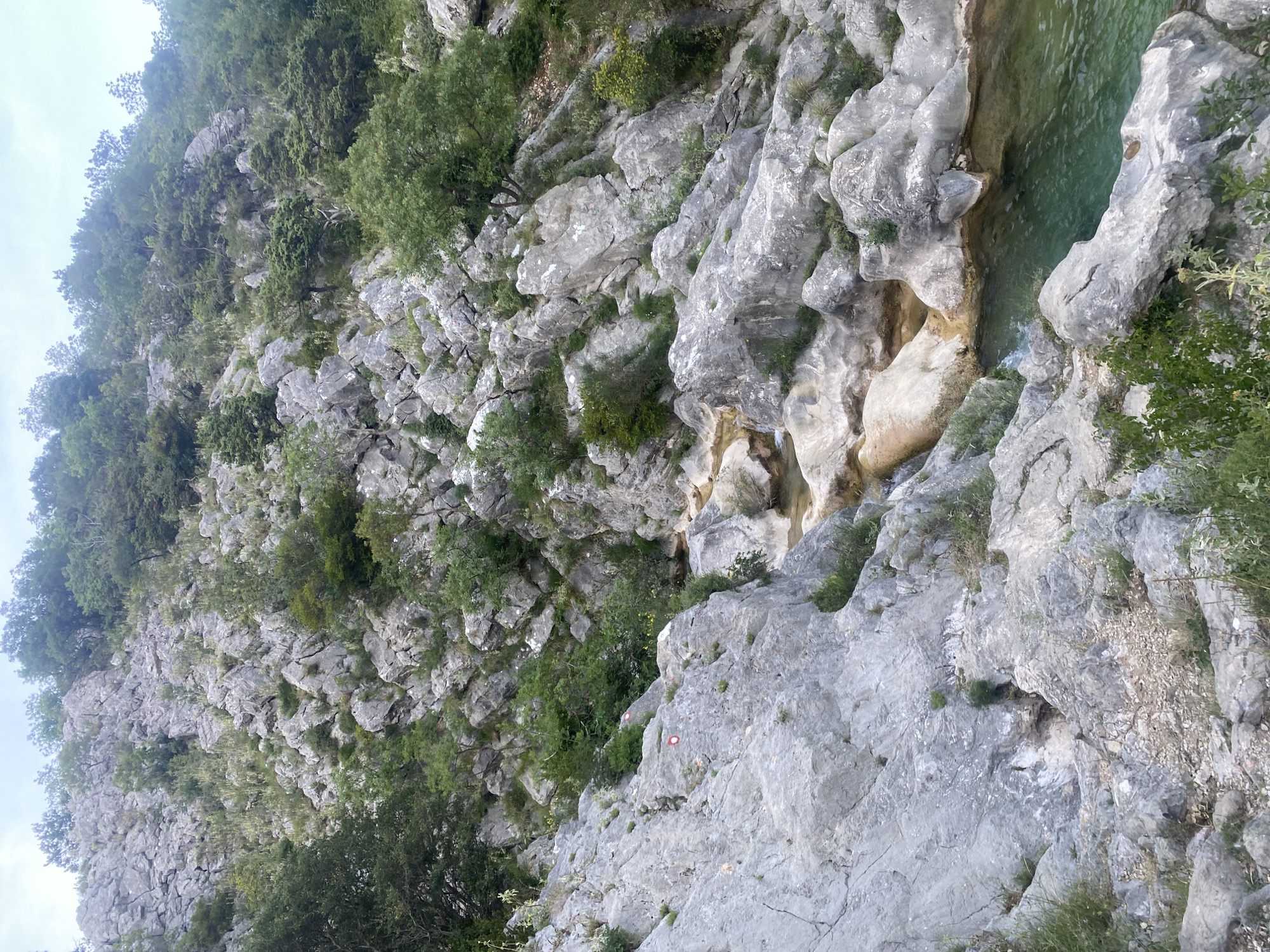 The image presents a rugged natural landscape, likely a canyon or mountainous region, in Zupci, Montenegro. The scene is dominated by steep, light gray rock formations and cliffs, extensively covered with various shades of green vegetation including trees, bushes, and sparse grasses.
A narrow, winding channel of clear, greenish-blue water, resembling a river or stream, flows through the lower right portion of the image, carved into the bedrock. The water appears calm, suggesting a gentle flow. The surrounding rocks display natural erosion patterns and crevices.
No people or animals are visible, underscoring the remote and pristine nature of the location. However, two red and white circular trail markers are discernable on a prominent rock face in the middle-right of the frame, indicating the presence of a marked hiking or trekking route.
The lighting suggests it is daytime, possibly under an overcast or partly cloudy sky, providing soft, diffused illumination across the landscape without harsh shadows. The overall impression is one of untouched natural beauty, tranquility, and the raw power of geological formations shaped by water and time.