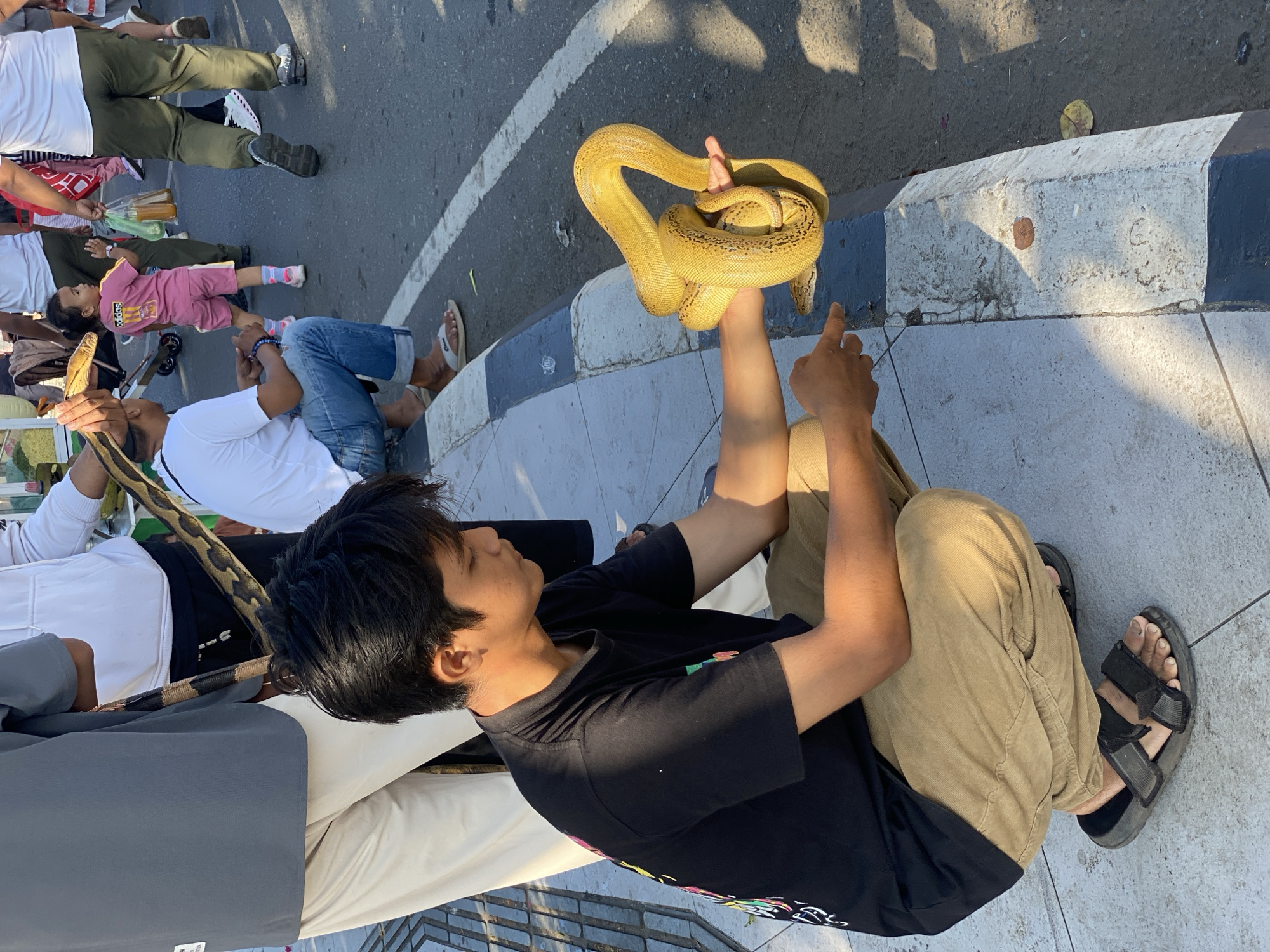 In Banjarbaru, Indonesia, a young man wearing a black t-shirt and khaki pants kneels on a sidewalk next to a street. He holds a coiled yellow python with dark markings in his right hand, its head resting on his palm. The man is looking down at the snake and pointing at it with his left index finger.
Behind him, several other people are visible. A person in a grey shirt and light-colored pants stands to his left. Further back, a person in a white t-shirt and blue jeans squats, and a young child in a pink outfit walks past. Other individuals, some carrying bags, are seen walking on the street. The environment appears to be an outdoor urban setting with a curb, sidewalk, and paved road. The sunlight suggests it is daytime.