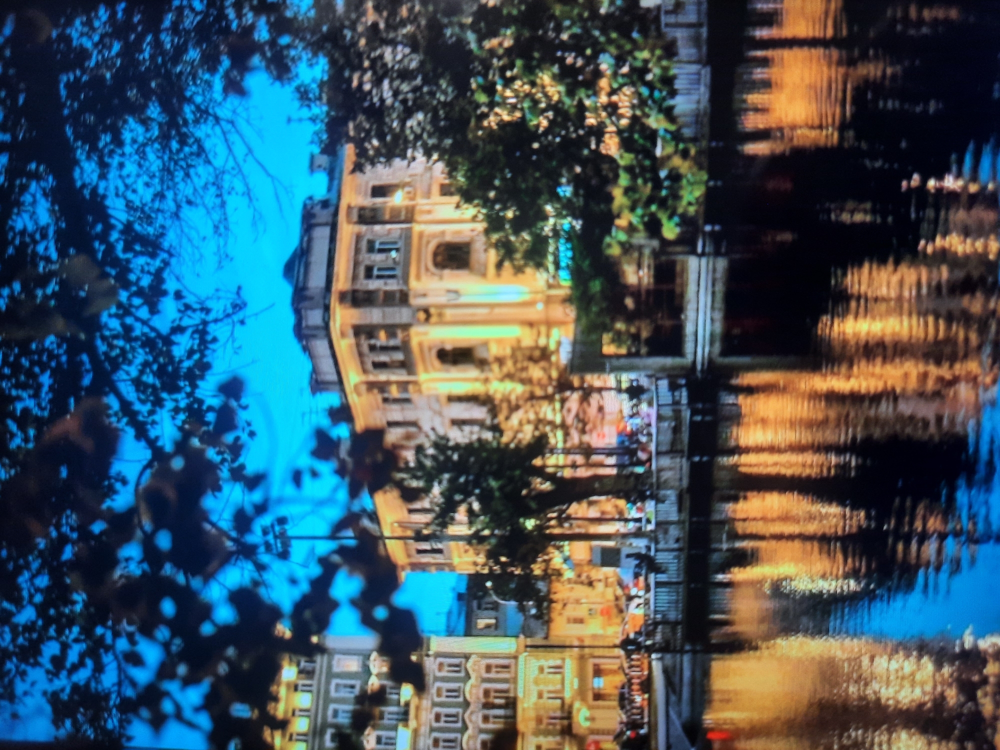 This image depicts a nighttime scene in Rosenheim, Germany, likely along a canal or river. The foreground is dominated by a dark body of water reflecting the lights of the city. In the middle ground, a multi-story building with ornate architecture and illuminated windows stands prominently. Trees with dark foliage frame the building and obscure parts of the sky. The water's surface shows distorted reflections of the building's lights, appearing as shimmering streaks of orange and yellow against the deep blue of the water. The sky is a dark, twilight blue, with some shadowy tree branches extending into the frame from the top. The overall impression is one of a serene, urban evening.