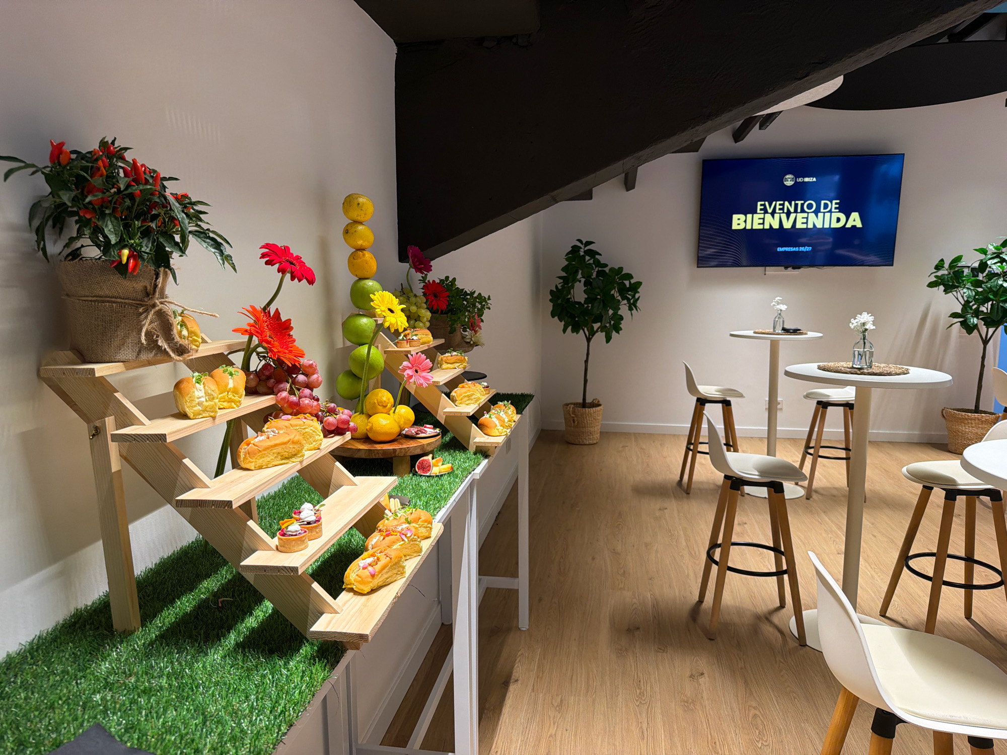 The image shows an indoor event setup, likely a welcome reception or buffet, in Ibiza, Spain. The scene is dominated by a white wall and a wooden floor. In the foreground, a tiered wooden display stand is covered with artificial turf, showcasing various food items. These include small pastries with fruit toppings, sandwiches, and some whole fruits like grapes and lemons. A potted plant with red chili peppers and red and yellow flowers is positioned on the top shelf of the display. Adjacent to this, a stack of green apples and yellow fruits forms a decorative element.
To the right of the food display, a tall television screen mounted on the wall displays the text "EVENTO DE BIENVENIDA" (Welcome Event) in large yellow letters against a dark blue background, with smaller text below indicating "EMPRESAS 26/27". Several white high-top tables and matching stools with wooden legs are arranged around the room, suggesting a seating area for guests. Two small white tables are visible in the middle ground, each adorned with a small glass vase containing white flowers. A potted green plant stands to the right of the television. The overall atmosphere appears clean and modern, consistent with a commercial or event space in Ibiza. There are no people visible in the image.