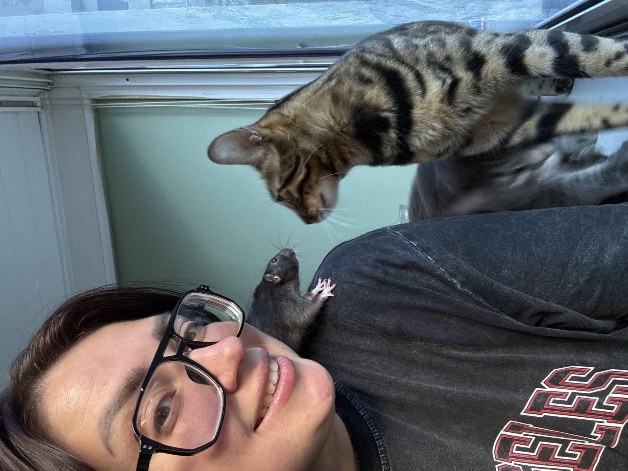 An upward-facing close-up shot captures a person, a rat, and two cats in an indoor setting. The main subject is a person, likely a young adult, with dark hair and black-framed glasses, smiling broadly at the camera. They are wearing a dark, possibly faded or acid-washed, t-shirt with a red and white graphic design that partially shows letters resembling "SSSS" or "EE" on the lower right.
A small, dark grey or black rat with pink paws is perched on the person's right shoulder/upper chest, looking upwards and slightly to the right with its whiskers visible. Above them, a tabby-patterned cat, possibly a Bengal due to its distinctive markings, is leaning down from an unseen elevated surface, its head near the rat. Its gaze seems directed towards the rat or the person. Further in the background, another grey cat is partially visible beneath the tabby cat, sitting or lying down.
The scene suggests an interaction between pets and their owner, possibly a playful or affectionate moment. The background includes what appears to be a window frame or light fixture at the top, indicating an indoor location with some natural light. The overall mood conveyed by the person's smile is one of contentment or amusement.