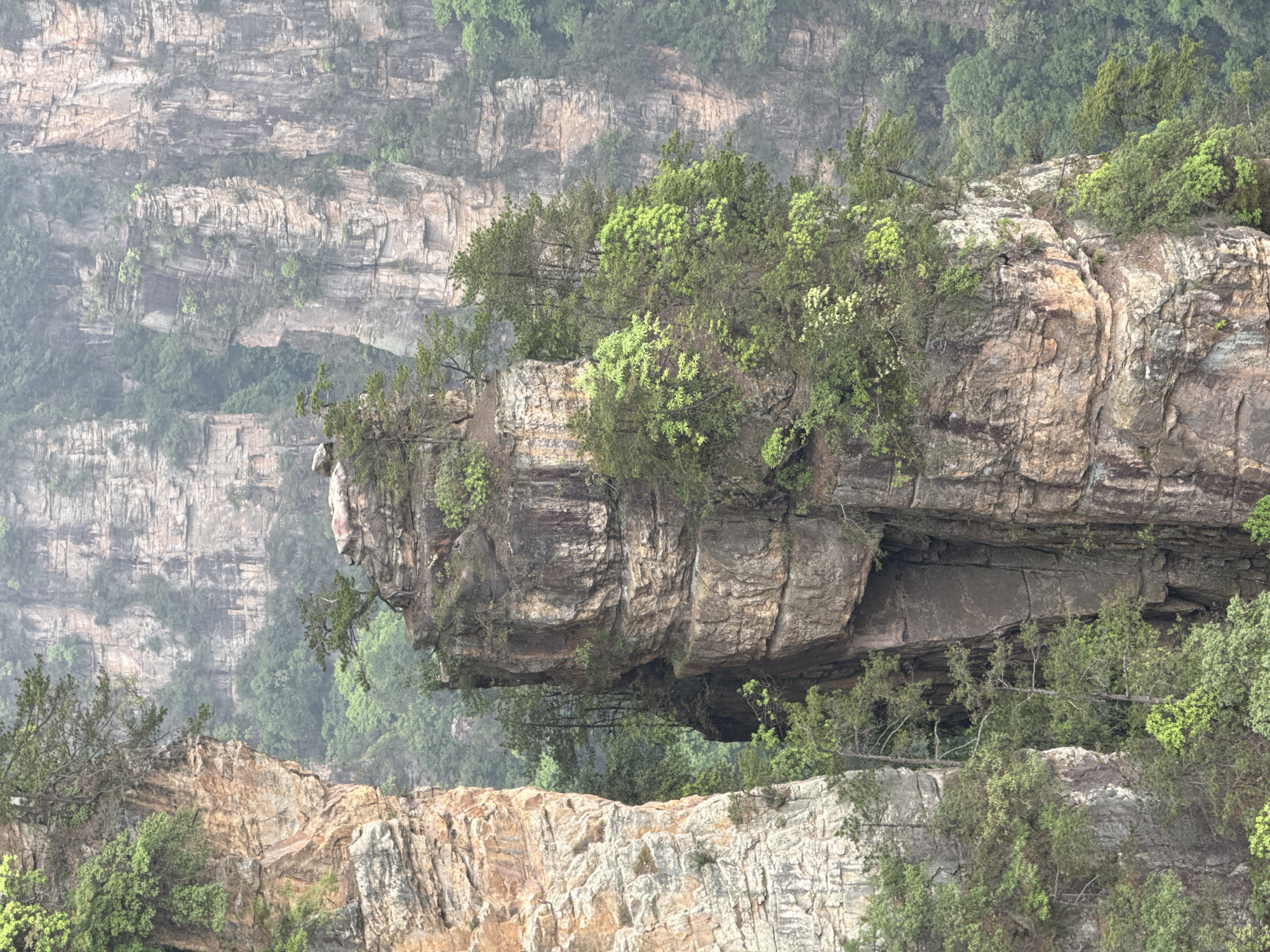 A cliff formation with trees growing on top is seen in Luoguta, China. The rock face is layered and textured. Other rock formations are visible in the background, obscured by a hazy atmosphere. Vegetation grows in patches along the rock face and at the bottom of the frame.