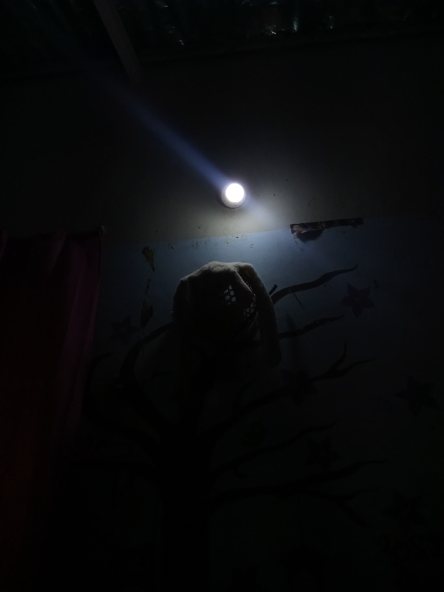 The image, taken in what appears to be a dark interior, possibly in Juan Griego, Venezuela, shows a room illuminated by a single overhead light. The walls are peeling and painted in a faded blue hue with some sort of tree and star drawings. A stuffed animal, possibly an elephant, is situated against the wall. A dark-colored curtain is visible on the left side of the frame. The environment is dimly lit, focusing attention on the items highlighted by the lone light source. The ceiling shows signs of water damage.