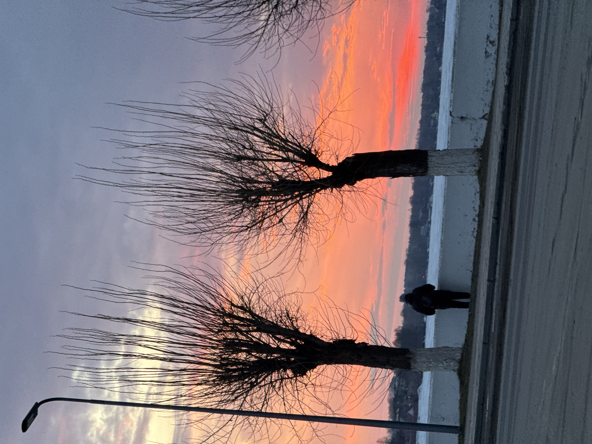 The image captures a twilight or dawn scene in Votkinsk, Russia. In the foreground are three bare trees with dark trunks and white-painted lower sections, characteristic of urban tree maintenance in Russia. These trees are silhouetted against a vibrant sky gradient from red and orange near the horizon to purple-grey above. A body of water is visible in the midground, reflecting the colors of the sky. A concrete embankment runs alongside the water. On the embankment, a solitary figure stands near one of the trees, appearing to observe the landscape. A lamppost is visible on the left side. The foreground is dominated by pavement, suggesting the scene is along a road or walkway.