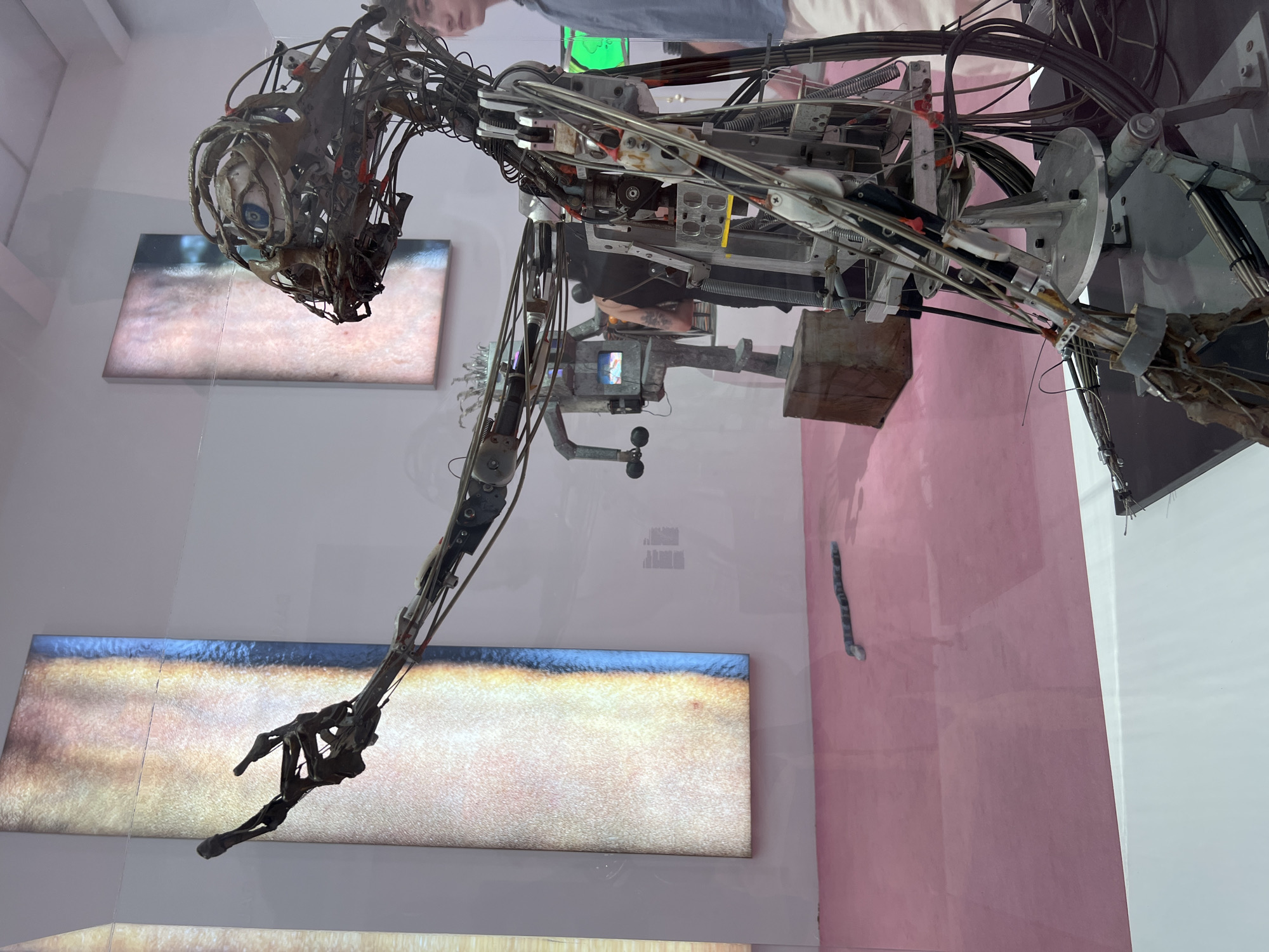 The image depicts an art installation, likely within a gallery or museum, in New York City, United States of America. The primary subject is a complex robotic sculpture with exposed wires, mechanical joints, and a singular large blue eye within a metallic head-like structure. One of the robot's arms is extended upwards and outwards. In the background, two large, vertical illuminated panels display abstract images with warm, gradient colors. Further in the background, another robotic sculpture, this one with a screen on its torso, is visible, along with a person in a blue shirt standing to the right of the main sculpture. The floor is covered with a pink carpet. A segmented, snake-like object lies on the floor in the mid-ground. The overall impression is one of a technologically advanced and somewhat eerie art exhibition.
