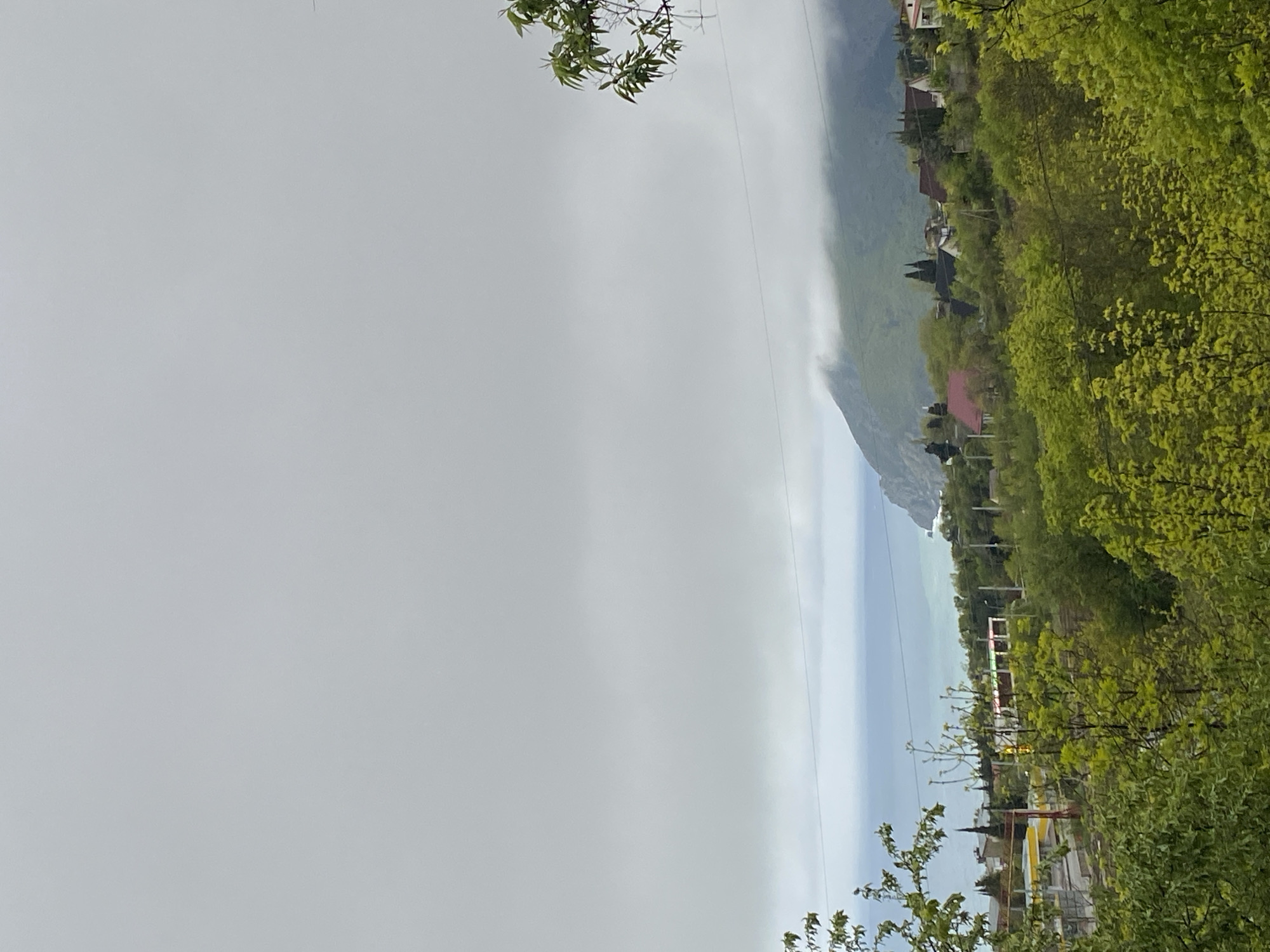 The image depicts a view of the city of Kiparisnoe, Ukraine. In the background, a mountain is partially obscured by low-hanging clouds or fog. The foreground features lush green trees and foliage. A body of water is visible between the mountain and the town. Houses and buildings are scattered along the landscape, nestled among the trees. Overhead power lines are also visible.