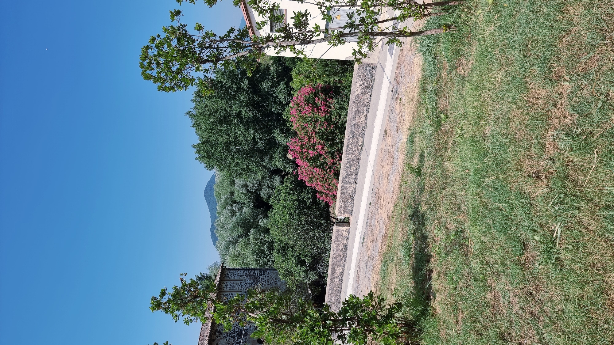 The image depicts a sunny outdoor scene with a clear blue sky. In the foreground, a grassy area slopes gently towards a paved path. A low, rough-hewn stone wall with a paved top runs horizontally across the mid-ground, dividing the grassy area from the path and beyond. Beyond the wall, a dense cluster of vibrant pink flowering bushes is prominent, surrounded by various trees with lush green foliage. To the left of the scene, a stone building with a tiled roof is partially visible, with a young tree in front of it. To the right, a cream-colored building with windows and a gray door is visible, with another young tree in front of it. In the background, a range of rolling, green-covered hills or mountains can be seen under the bright sky. The overall impression is of a rural or semi-rural setting, possibly a park or garden area. Based on the provided context, this location is in Sant Joan Les Fonts, Spain.