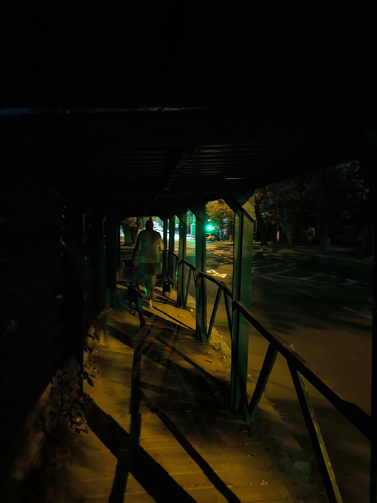 A person, silhouetted by an artificial light source, walks away from the camera along a wooden walkway. The walkway is covered by a dark structure, casting long shadows across its surface. A railing with dark vertical and diagonal supports lines the right side of the walkway. Beyond the railing, a street is visible, illuminated by a green traffic light and the headlights of a car. Trees with foliage line the street and are partially visible in the background. Two dark-colored dogs walk alongside the person, one slightly ahead and to the left, the other behind and to the right. The overall scene is dimly lit, with the walkway bathed in a warm, yellow-orange light from an unseen source, contrasting with the cooler green of the traffic light. The context of Mykolaiv, Ukraine is not discernible from the visual information in the image.