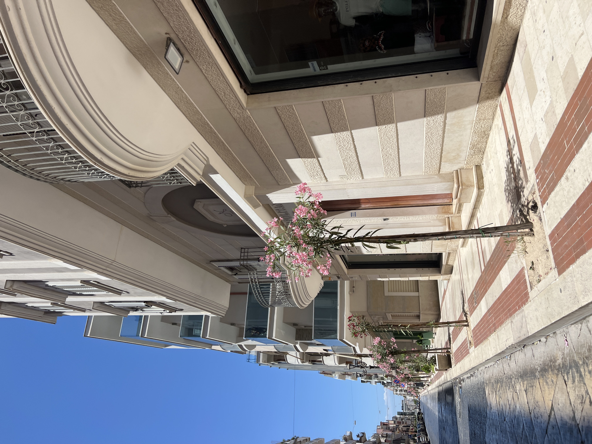 This media file displays a street scene in Margherita di Savoia, Italy. The image captures the facade of a building with a prominent curved architectural element. The building is light-colored and features decorative stonework and balconies. Pink flowering plants are positioned along the street, adding a touch of color to the scene. The street itself is paved with a combination of light-colored stone tiles and reddish-brown bricks.
In the background, there are other buildings, indicating an urban or town setting. The sky is a clear, bright blue, suggesting a sunny day. The angle of the sun casts distinct shadows on the ground, implying that it is daytime, likely late morning or early afternoon. There are no people visible in the immediate foreground. Some of the building's windows reflect the sky and surrounding structures. There is some faint text visible on a sign reflected in the shop window, but it is too blurry to read. The overall impression is one of a pleasant, well-maintained street.