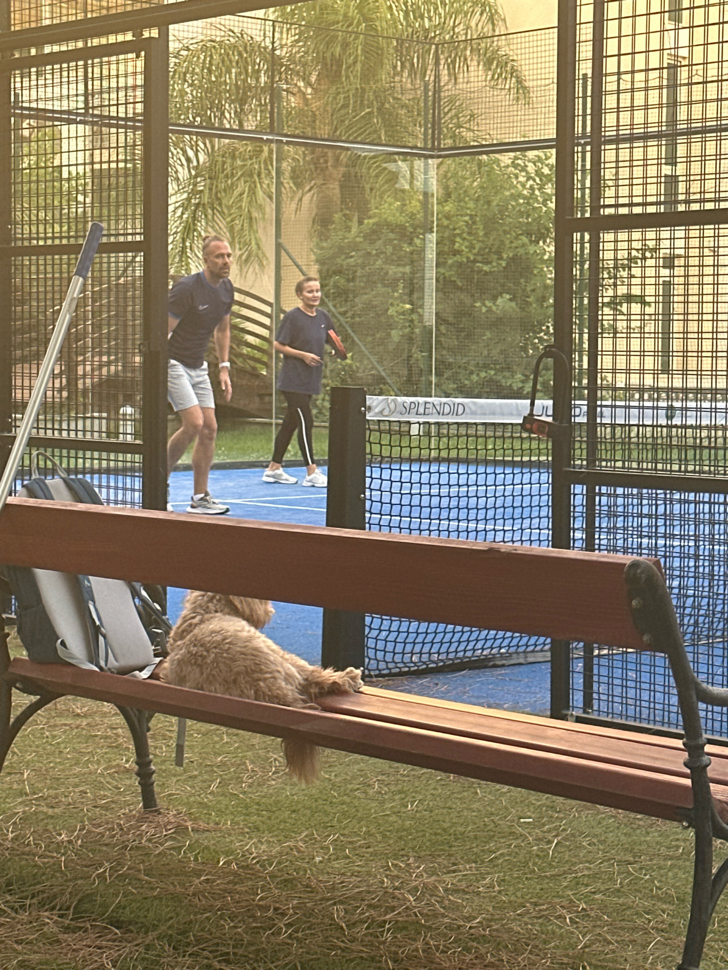 In Boreti, Montenegro, on a padel court, a man and a young person are playing padel. The man, with a ponytail and wearing a dark blue t-shirt and light gray shorts, is in motion on the court. The young person, wearing a dark blue t-shirt and black leggings, is also on the court, holding a padel racket. A brown dog rests on a wooden bench in the foreground. Behind the court, palm trees and other greenery are visible, and a building with a grid-like facade stands in the background. The scene appears to be set in the late afternoon, given the lighting.