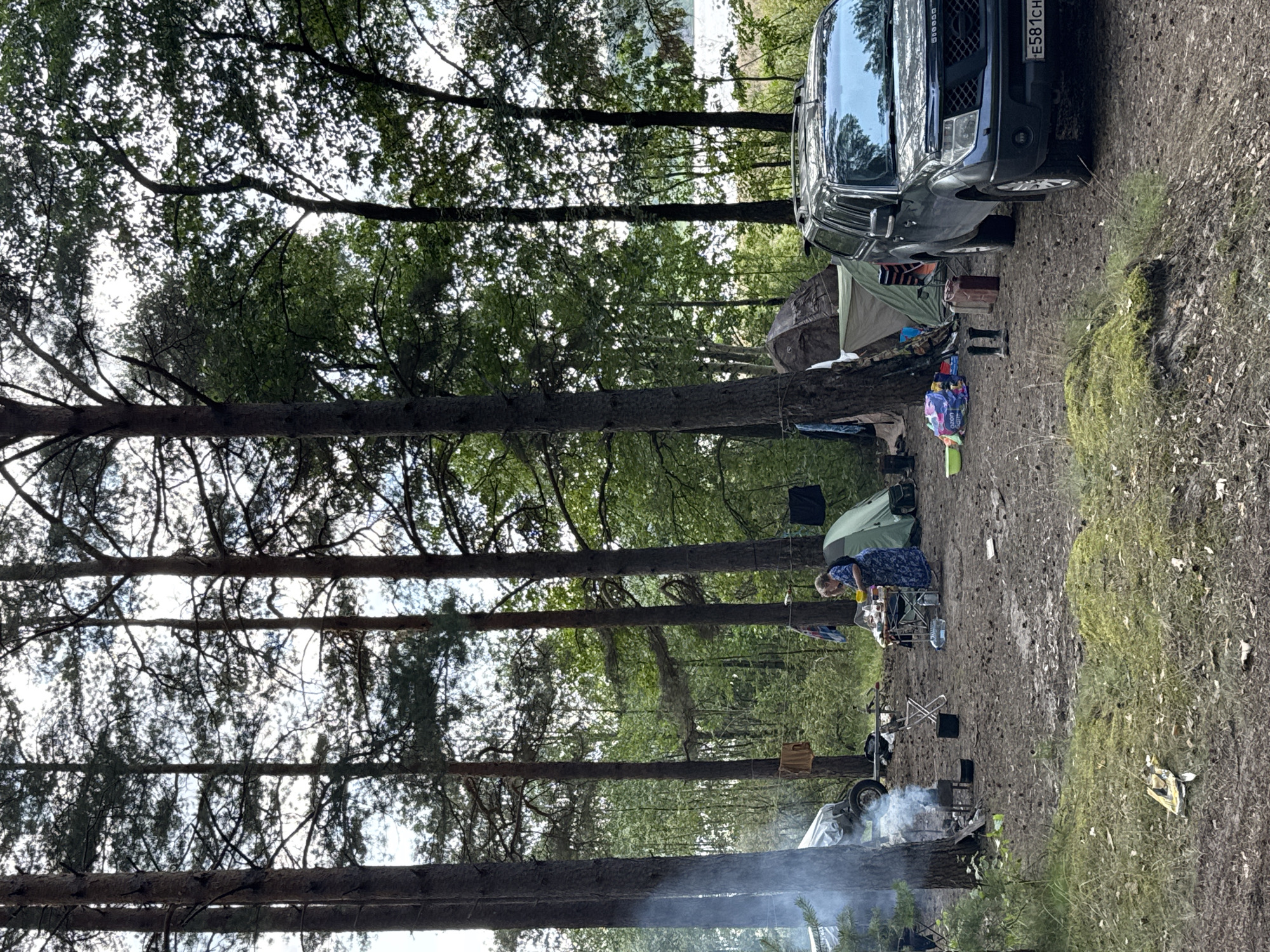 A group of people are camping in a forest in Portovoe, Russia. The scene shows a campsite with tents, a campfire, and a car. A woman in a blue dress is standing at a table, preparing food. Smoke is rising from the campfire, and clothes are hanging on a line. The ground is covered with pine needles and dirt. In the background, there are tall trees and a body of water.