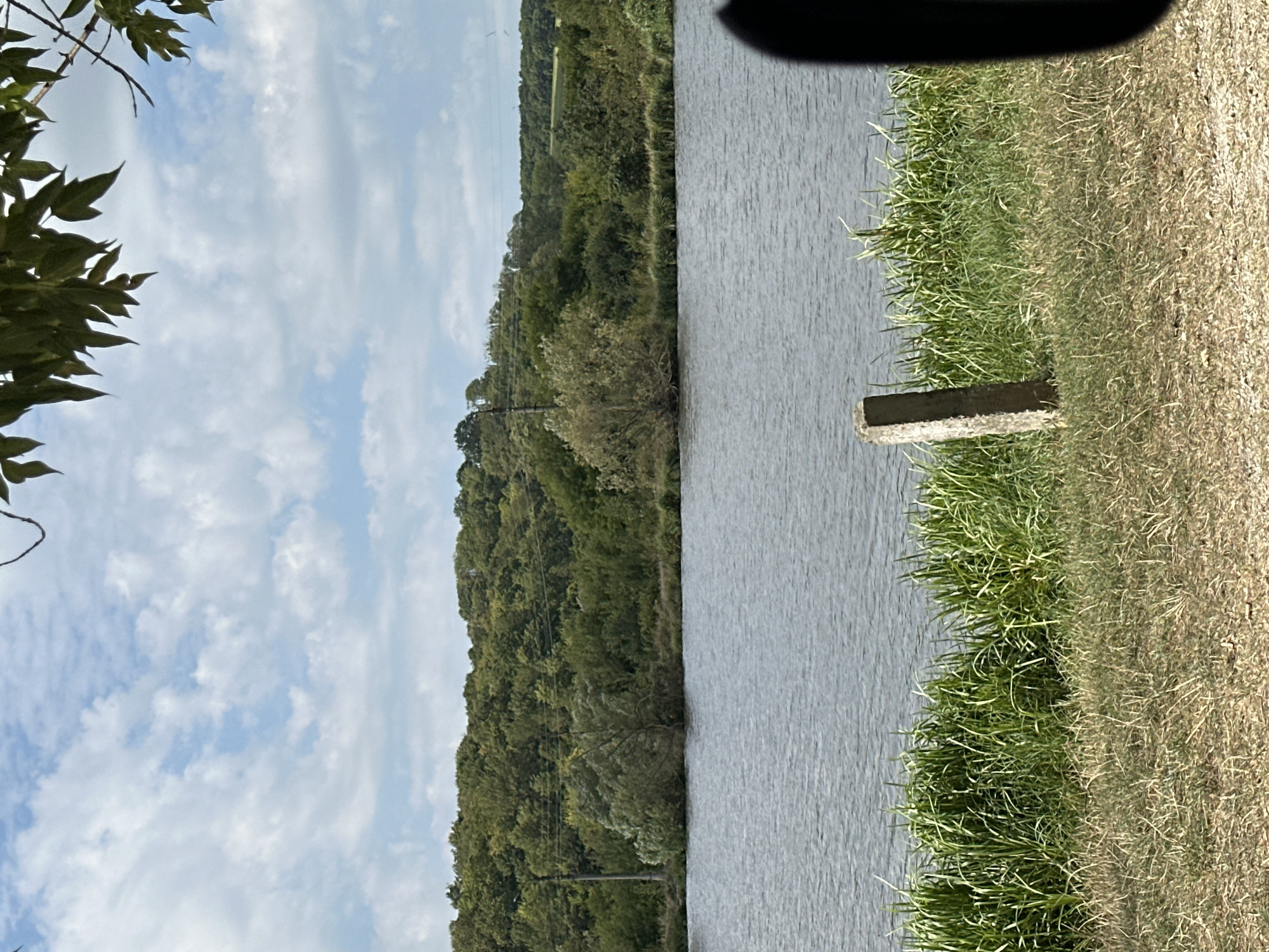 This is a full shot photograph taken outdoors, depicting a body of water with a tree-covered hill in the background. The water appears calm, with subtle ripples on its surface. Along the edge of the water, tall green grass grows, interspersed with drier, lighter-colored grass and dirt in the foreground. A single concrete post stands upright in the grassy area. The background is dominated by a dense, rolling hill covered in various shades of green trees. The sky above is a mix of blue and white clouds, with some green leaves from a tree visible in the upper right corner of the frame. The overall setting suggests a natural, possibly rural environment. Based on the provided context, this scene is located in the city of Makiv, Ukraine.