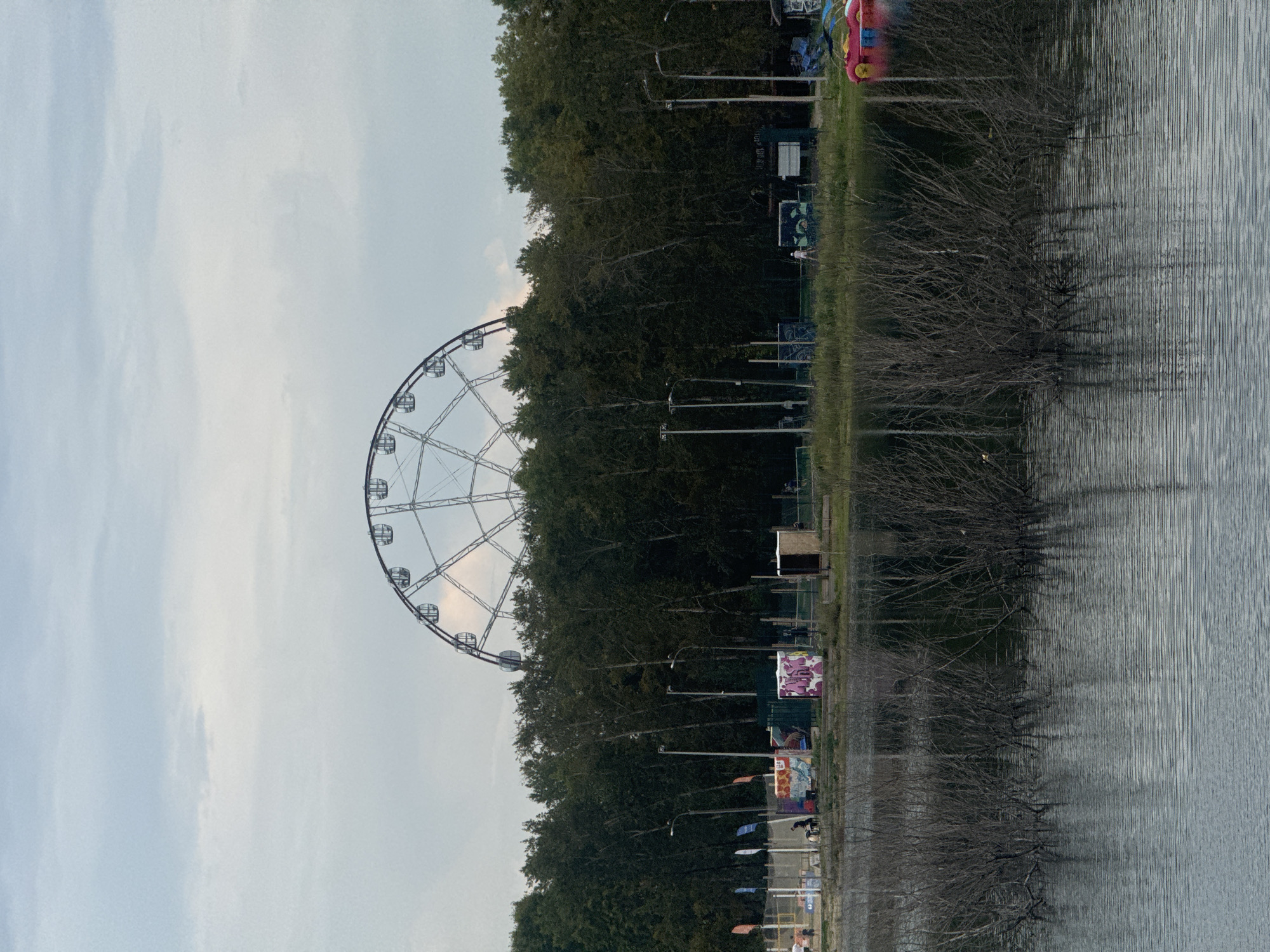 The image depicts a Ferris wheel, partially obscured by a dense line of trees, towering over a body of water in Irkutsk, Russia. The Ferris wheel, a prominent amusement park attraction, is a skeletal structure against a cloudy sky. The trees form a dark, uniform barrier between the water and the attraction. In the foreground, the water's surface is disturbed by ripples, with bare branches of submerged trees protruding from its depths, creating a stark contrast with the lush foliage behind. Along the bank, several small, colorful structures, possibly kiosks or temporary buildings, are visible, some adorned with graffiti. Flags on poles also dot the shoreline, suggesting a public space or event. A few figures are sparsely scattered along the bank, engaged in unspecified activities. A bright red and yellow watercraft is docked on the right side of the image. The overall scene captures a somewhat overcast day at a recreational area, where the natural landscape meets man-made attractions.