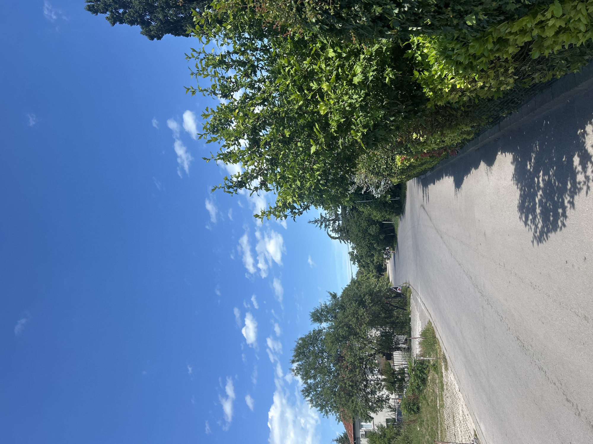 The image depicts a residential street scene in Varna, Bulgaria, under a clear blue sky with scattered white clouds. The perspective is from a low angle, looking up at the sky and down a paved road lined with lush green trees and hedges.
The subjects include the road itself, which appears to be in good condition, and the abundant vegetation. There are no people or specific objects clearly identifiable as the main focus, besides the natural elements and the infrastructure of the street. The setting is a suburban or semi-rural area, characterized by houses partially visible behind the foliage and fences.
The time of day appears to be mid-morning to early afternoon, suggested by the bright sunlight and the distinct shadows cast by the trees on the road. The weather is sunny and pleasant, ideal for outdoor activities. The location cues, such as the style of houses and the vegetation, are consistent with a Balkan setting. There are no discernible emotions conveyed by the scene, which is predominantly tranquil and scenic.
No visible text is present in the image. The overall impression is one of a peaceful, sun-drenched day in a green neighborhood.