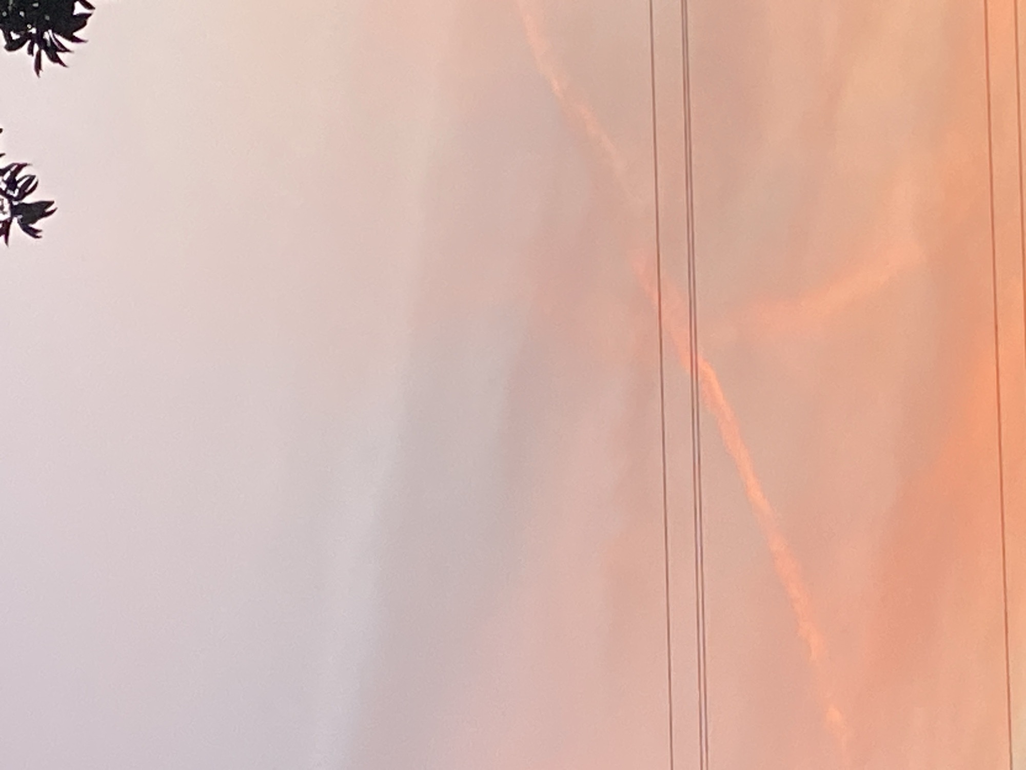 The image shows a sky at Tinaquillo, Venezuela. The sky is a mix of pale pink and orange, with streaks suggesting the presence of clouds or contrails. Two power lines run vertically in the right third of the frame. In the upper left corner, dark, undefined shapes hint at the presence of leaves or branches, possibly from a tree. The overall lighting suggests either sunrise or sunset.