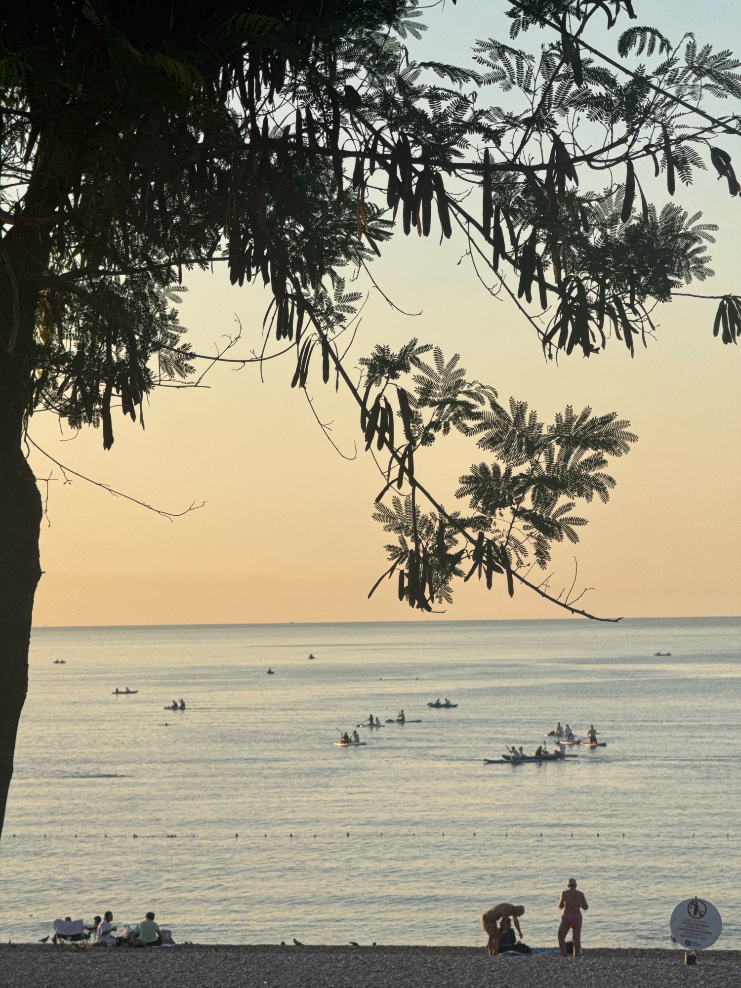 The image depicts a serene beach scene at sunset, likely in Antalya, Turkey, given the context. In the foreground, a pebble beach is occupied by a few individuals relaxing and a sign with a prohibition symbol. The middle ground features a calm sea dotted with several small boats and people engaged in water activities like kayaking and paddleboarding. The background is dominated by the vast expanse of the sea meeting a softly colored sky, painted with hues of orange and pale yellow, indicative of twilight. Overhead, the silhouette of a large tree with drooping pods and delicate leaves frames the scene, adding a natural and tranquil element. The overall atmosphere is one of peaceful relaxation and the gentle end of a day by the sea.
