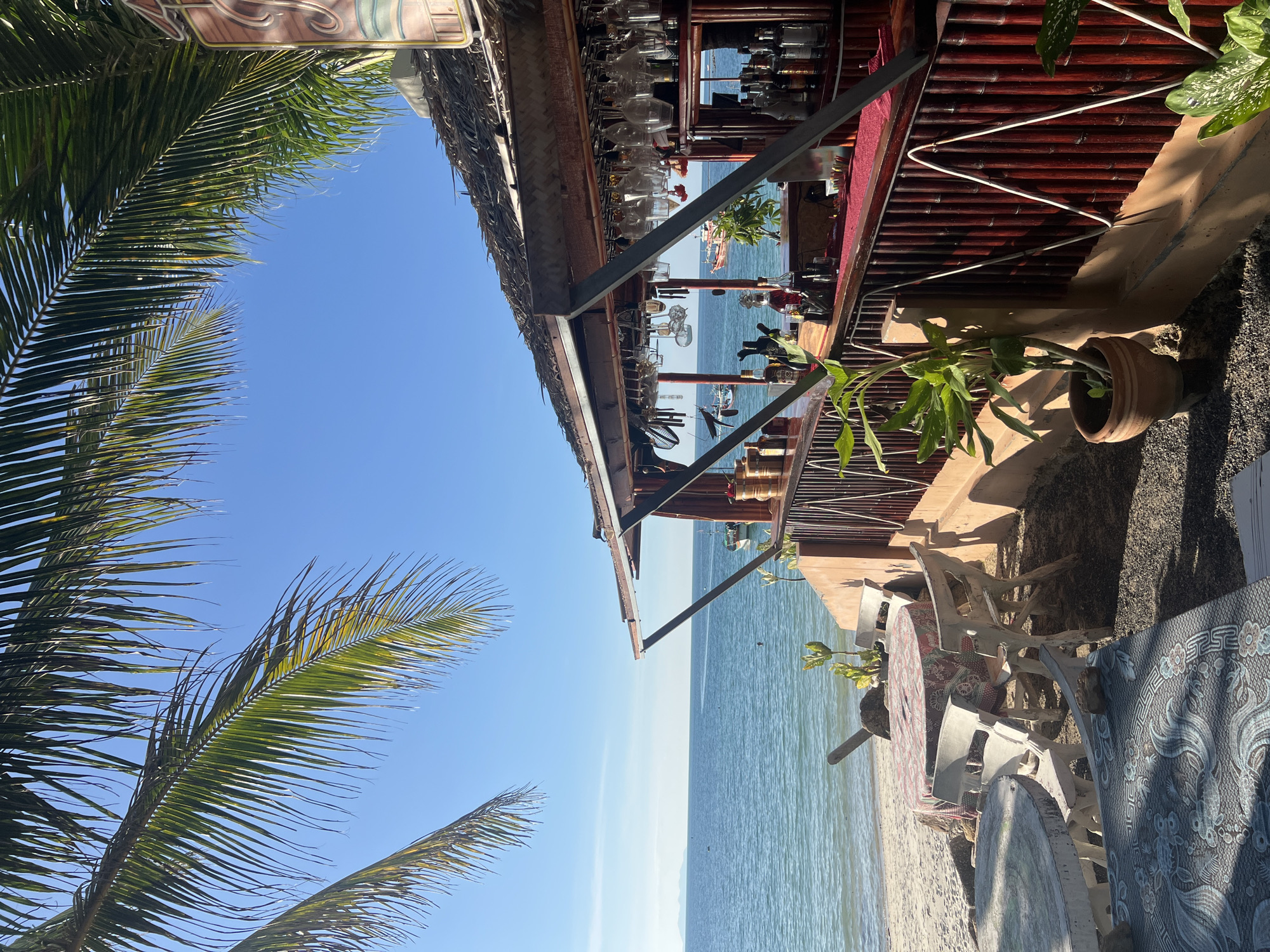 This image captures a beachfront bar in Koh Phangan, Thailand, bathed in the bright light of a clear blue sky. Palm fronds frame the scene from the left, hinting at a tropical setting. In the foreground, there are several outdoor tables and chairs, some with patterned tablecloths. The bar itself is constructed from bamboo and features a thatched roof. Behind the bar, shelves are stocked with various bottles and glassware. The turquoise ocean stretches out to the horizon, with a few small boats visible. The beach is sandy, with some rocks and scattered vegetation. The overall impression is one of a relaxed, open-air establishment by the sea.